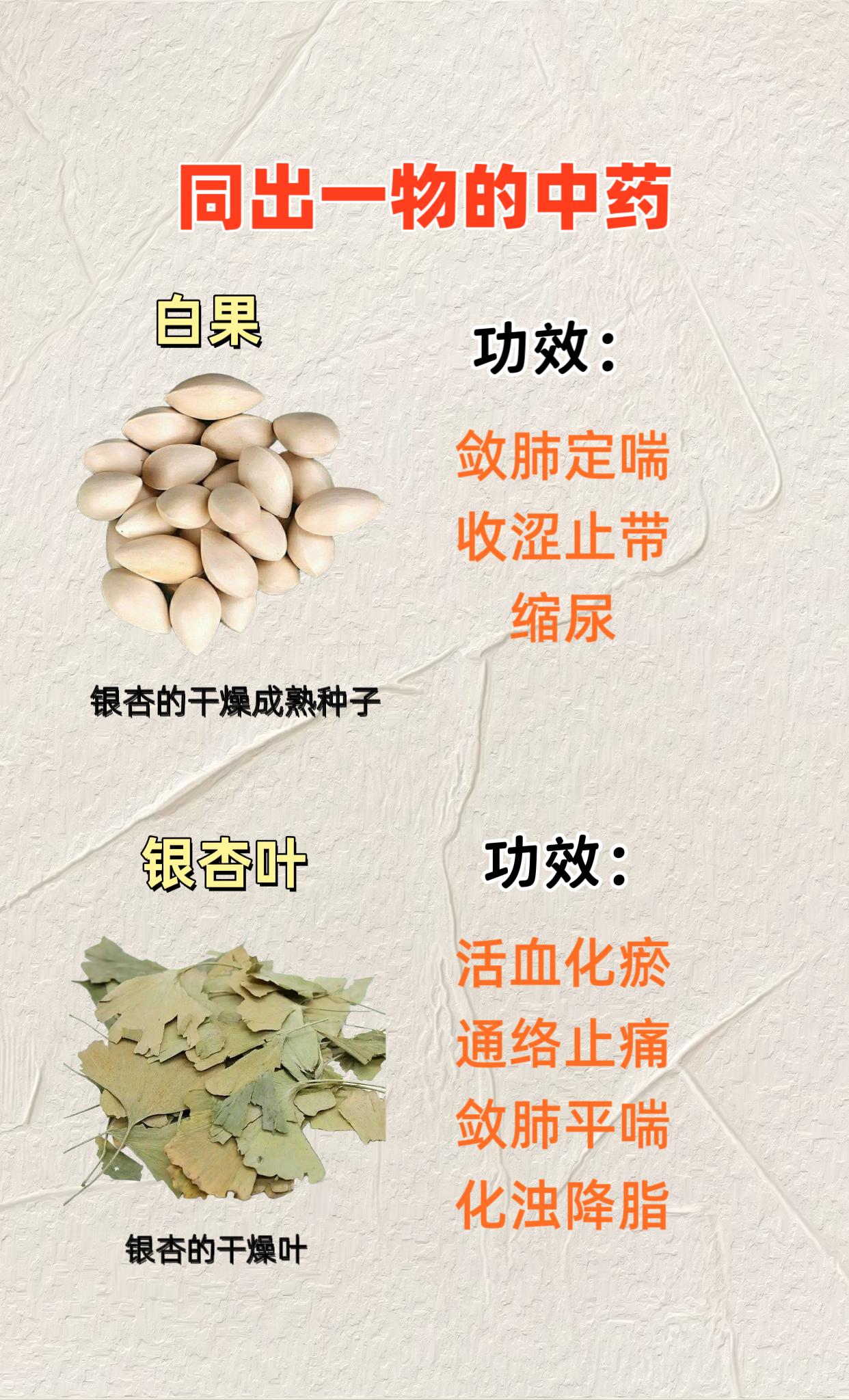 中药科普。同出一物的中药