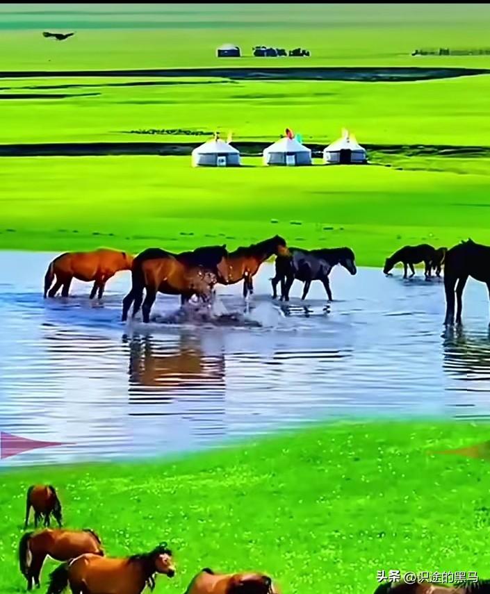 夏日生活打卡季