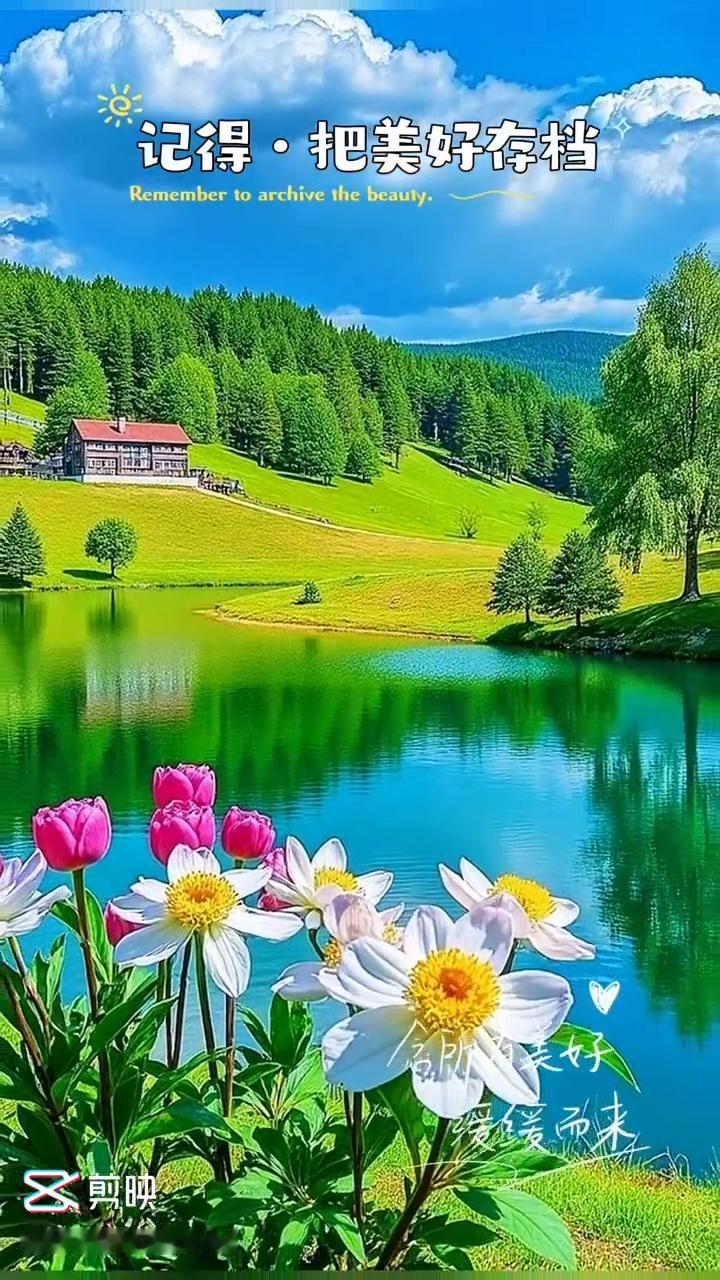 记得把美好存档。
Remember to archive the beauty。
