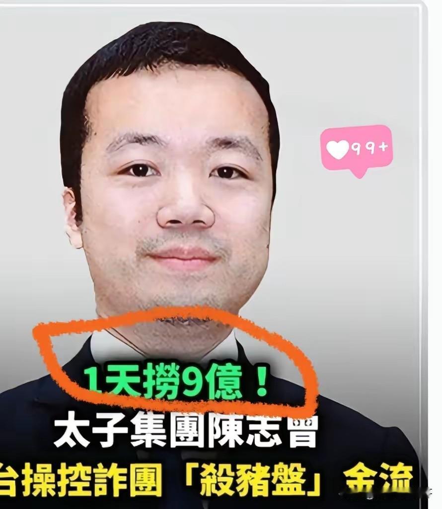 150亿美元的资产
就因为美国司法部的一纸宣判化为乌有
主角陈志可真是“一夜回到