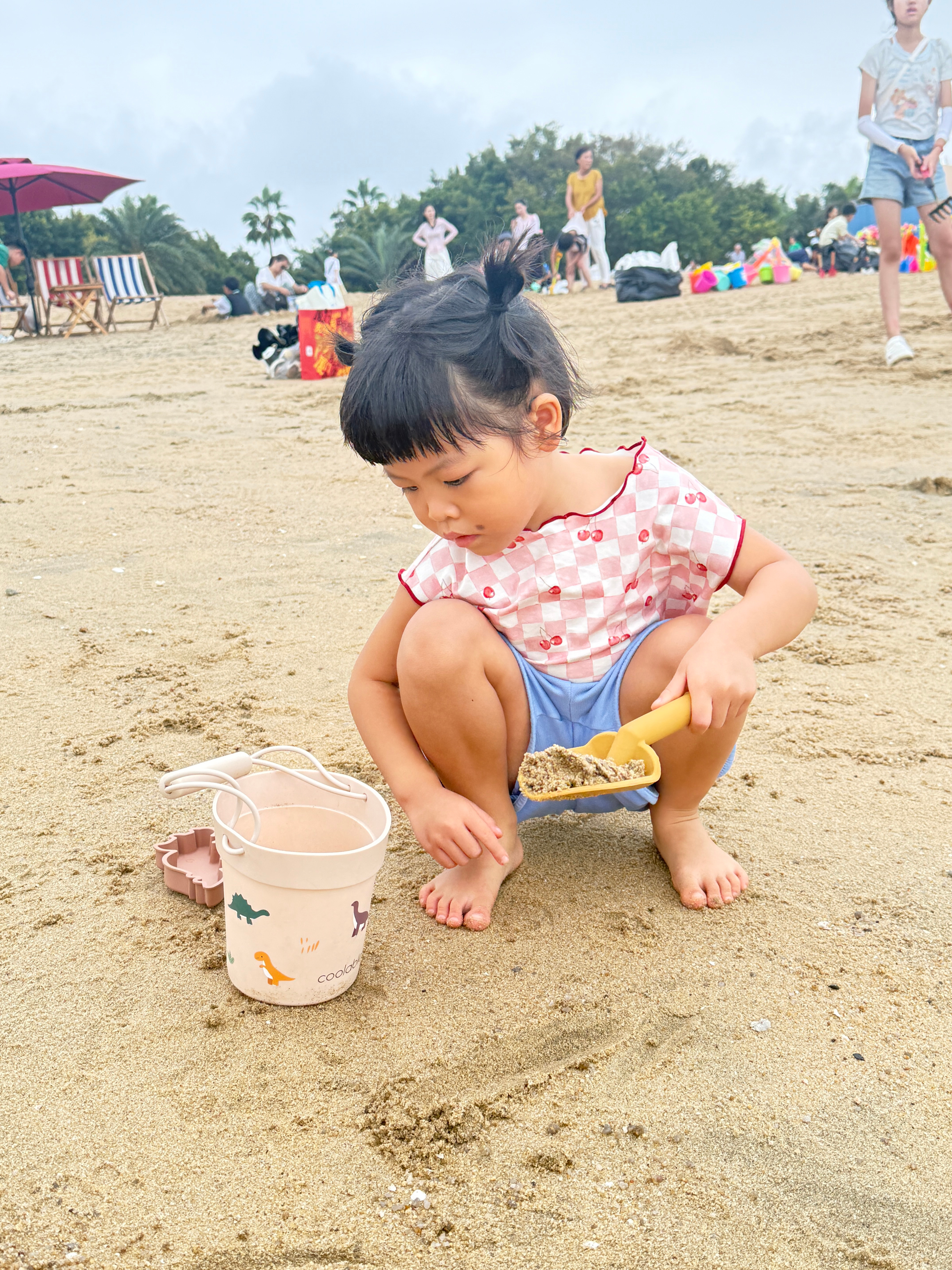 来挖沙沙了三铲子下去球宝怒了：怎么什么都没有？螃蟹在哪里？我心说宝贝，人生不是那