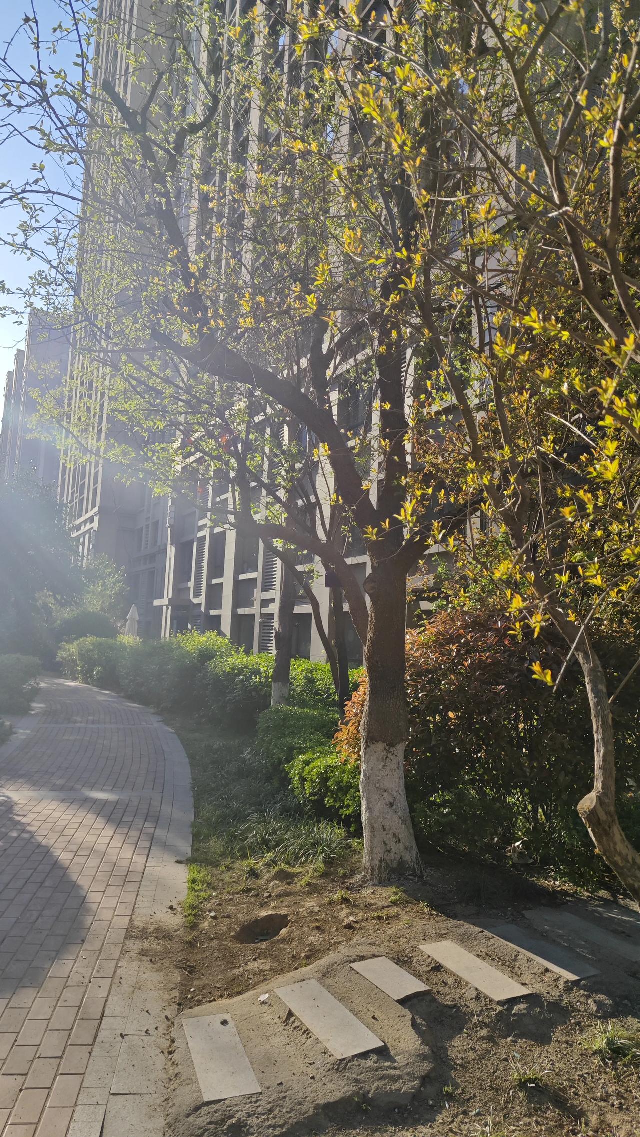 漫画家蔡志忠说过的一段话：
“如果一个人把一辈子都用在追求物质上，那他就等于给自
