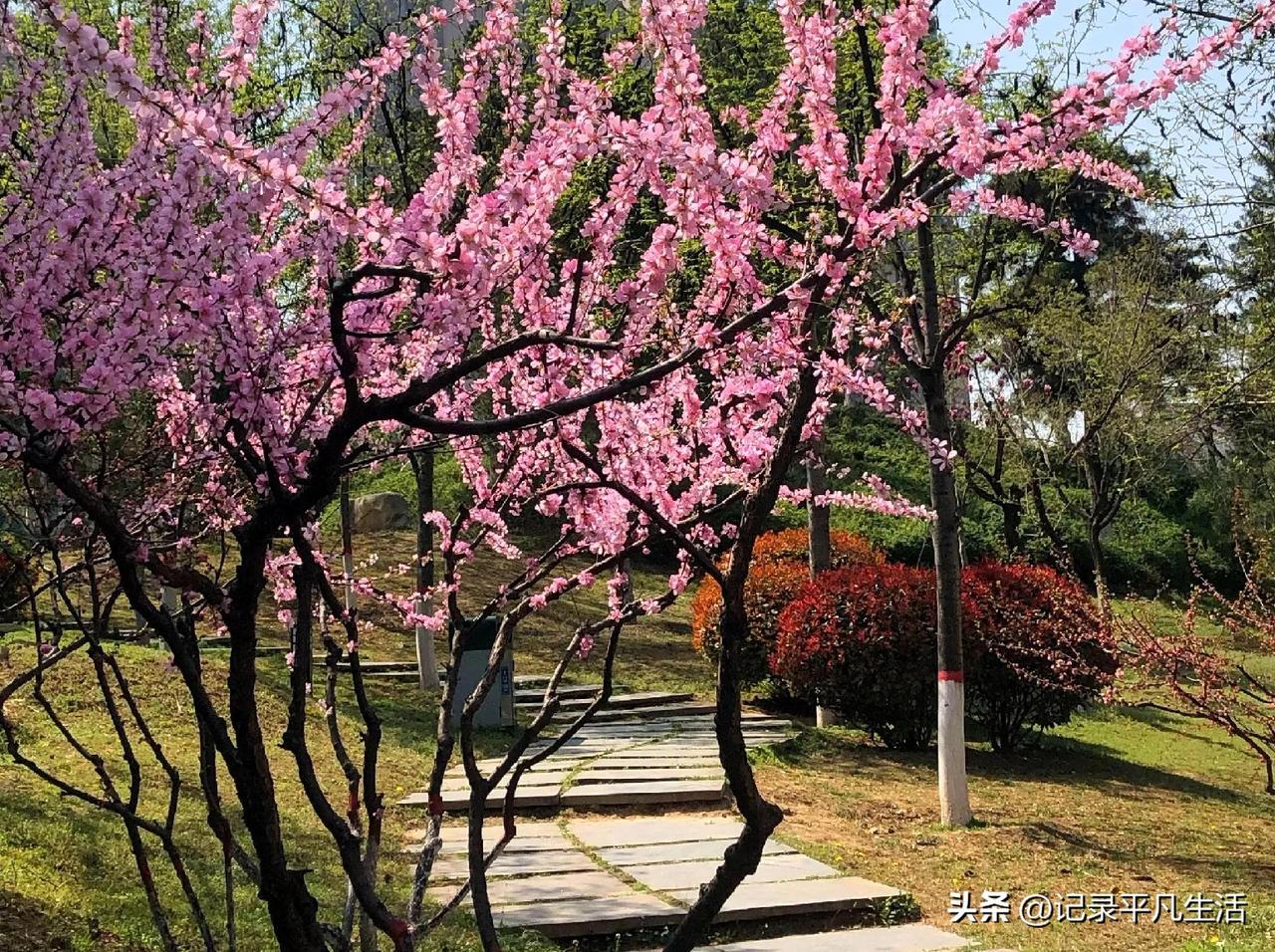 今天总算动了动，没偷懒。
也没搞多累，就是随便走走，拉伸两下。
出点薄汗，整个人