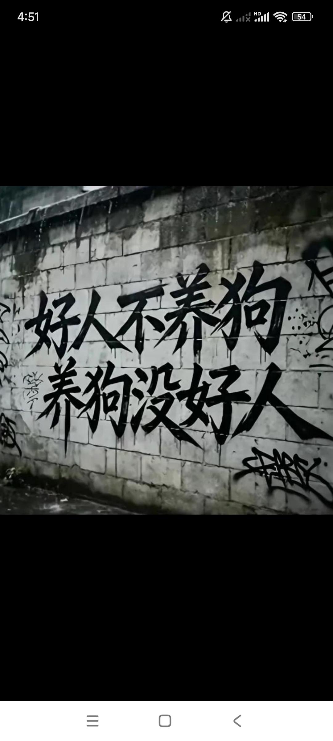 你们说这一个标语对不对？

说：好人不养狗，养狗没好人。

那么说，那些善待流浪