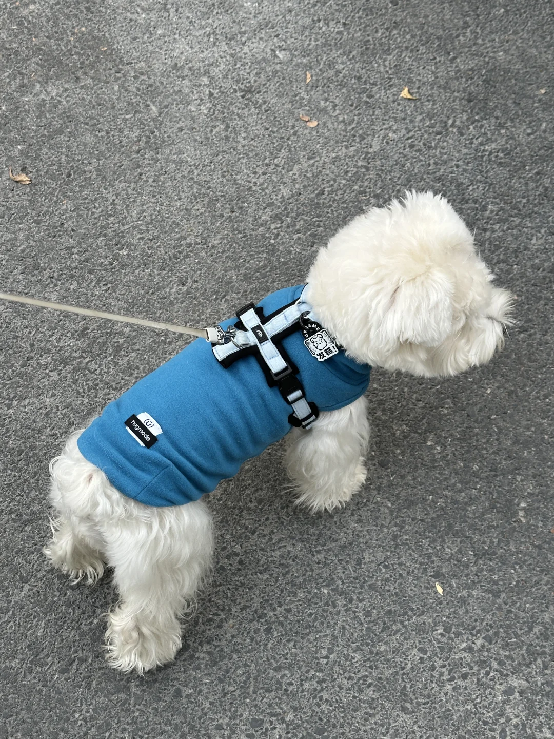 今日份蓝色ootd💙