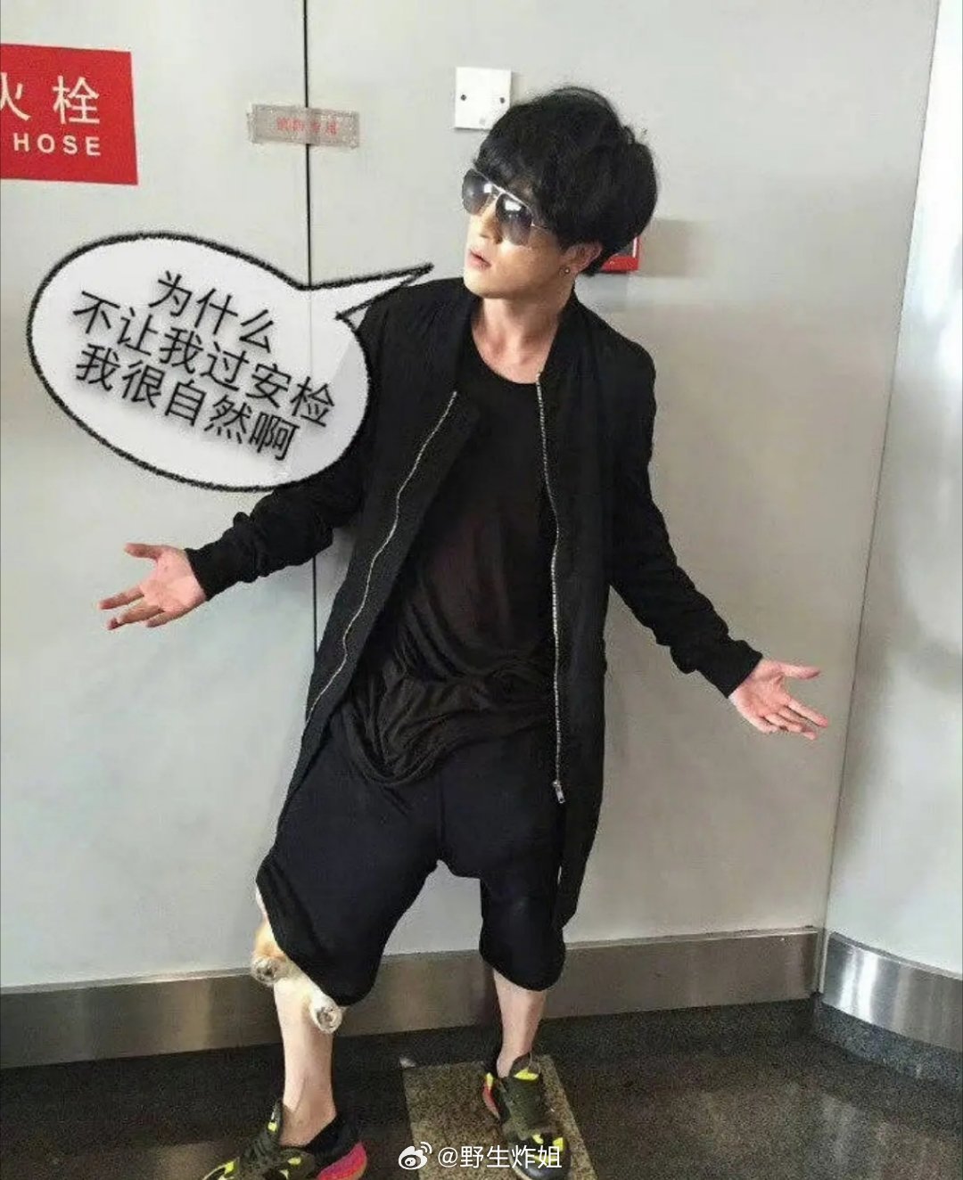 薛之谦咋还把狗藏裤裆的。。 