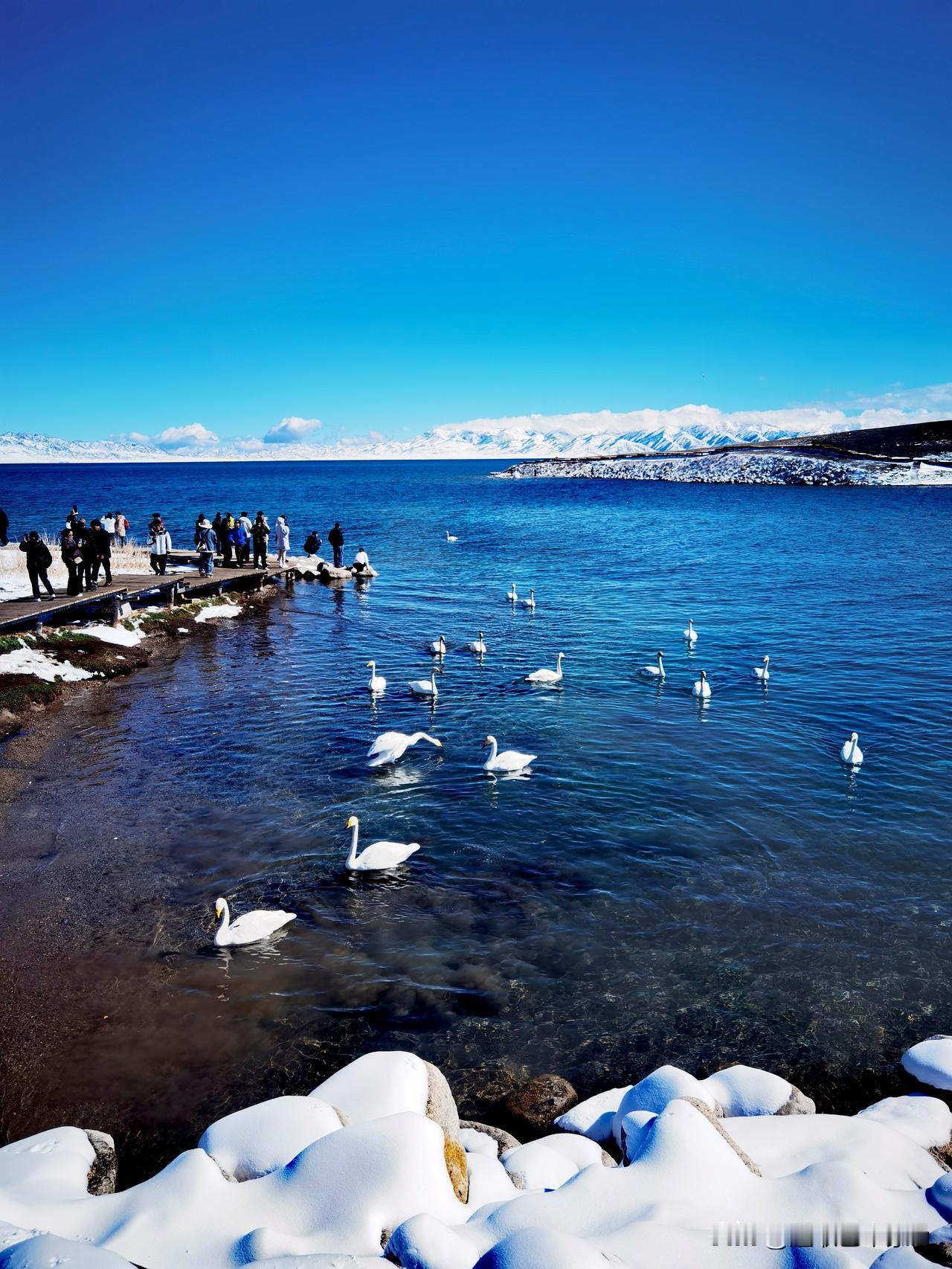 大美新彊，赛里木湖，克勒涌珠，天鹅家园，三台古驿我来了！！！赛里木湖名胜区 塞里