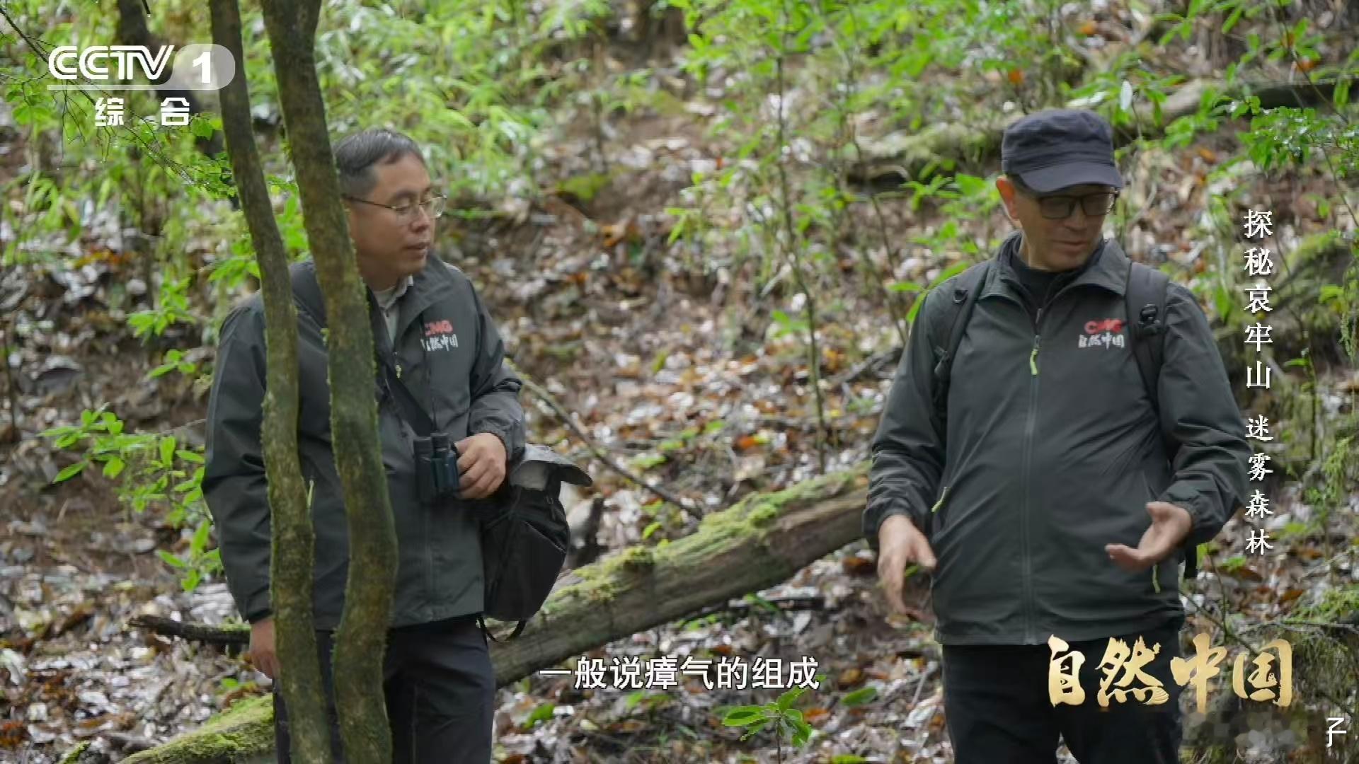 武侠小说的瘴气竟真实存在瘴气成分被测出来了 武侠小说中瘴气常被描绘得神秘莫测，如