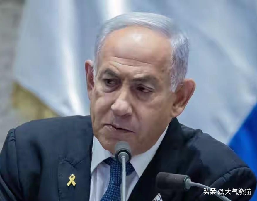 伊朗的这次通报信息量很大，
其实在2号的时候，伊朗方面就公布了以色列总理内塔尼亚