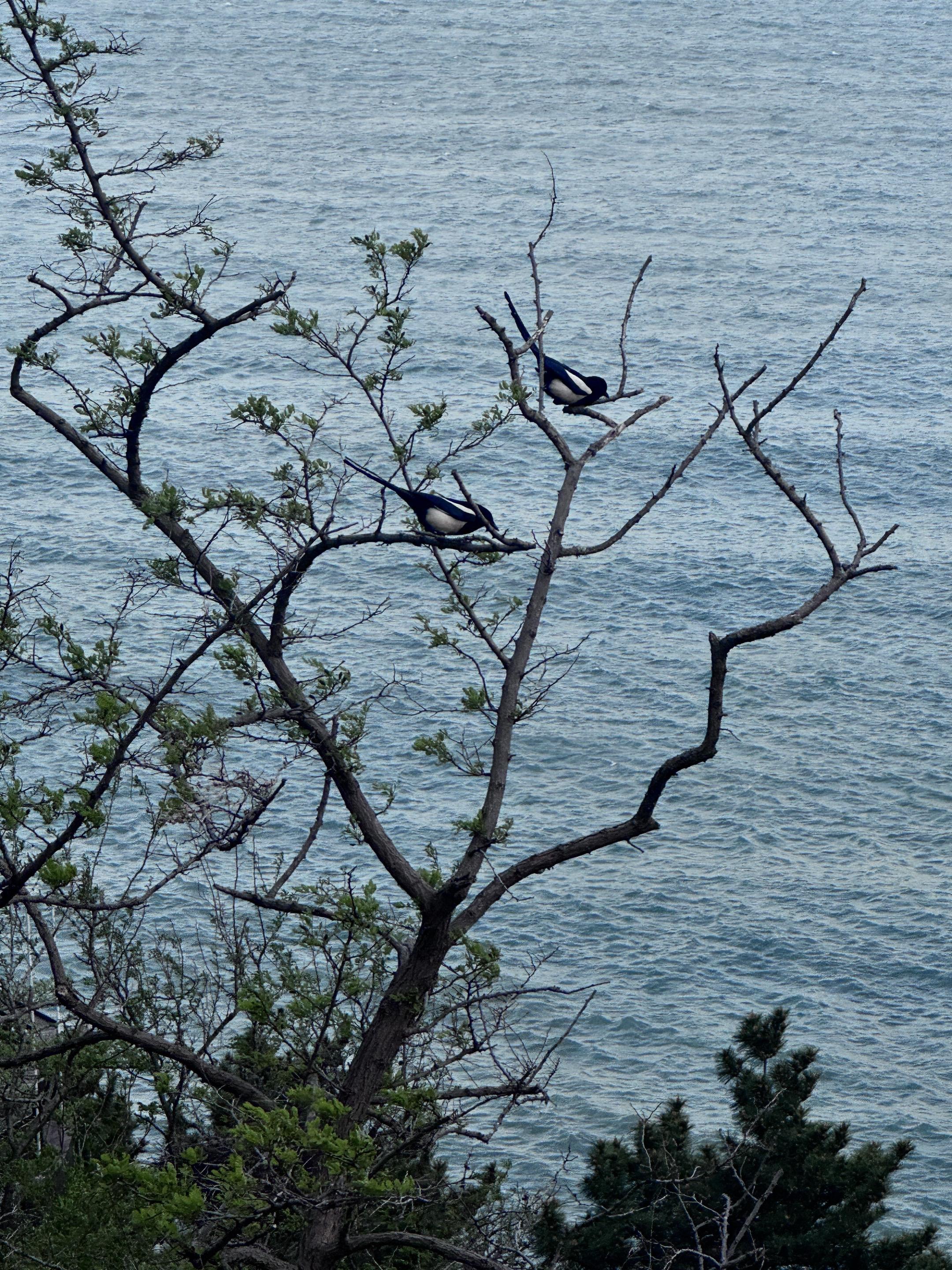 风到这里就是黏黏住过客的思念