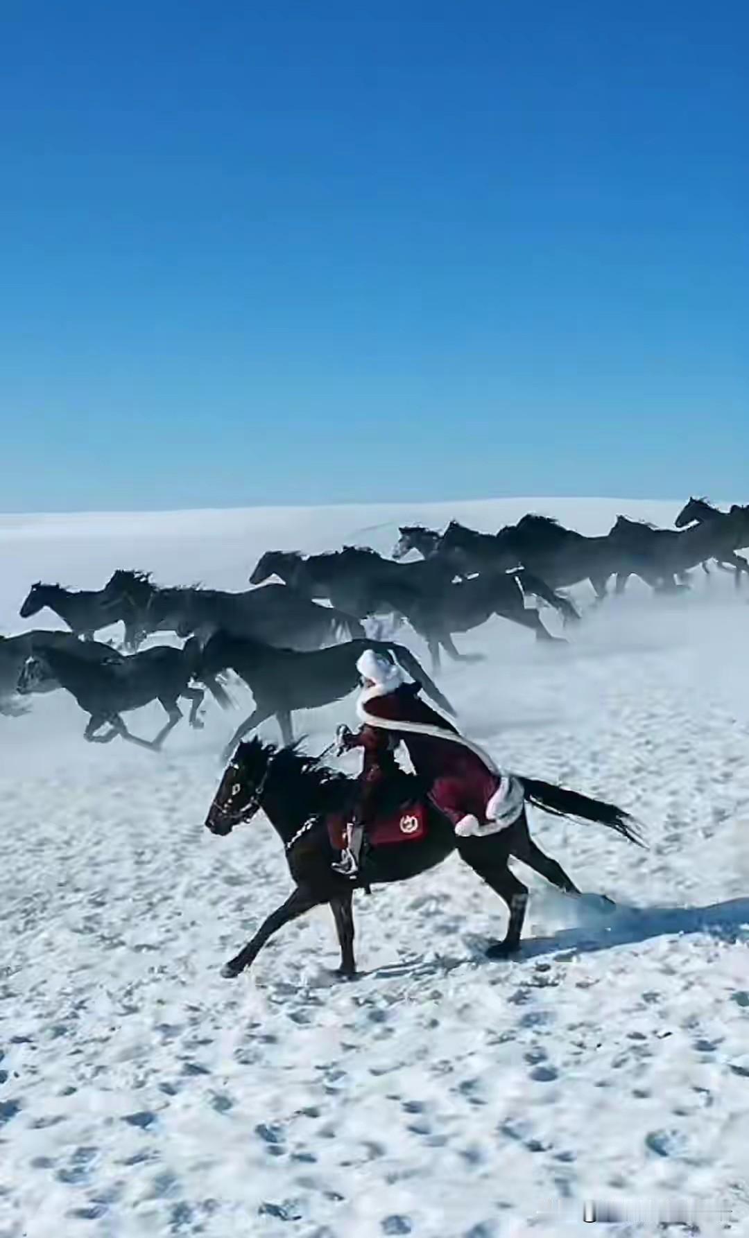 若为热爱，所向披靡！

贺娇龙，这个自由洒脱的奇女子，策马奔腾在新疆雪地上。她以
