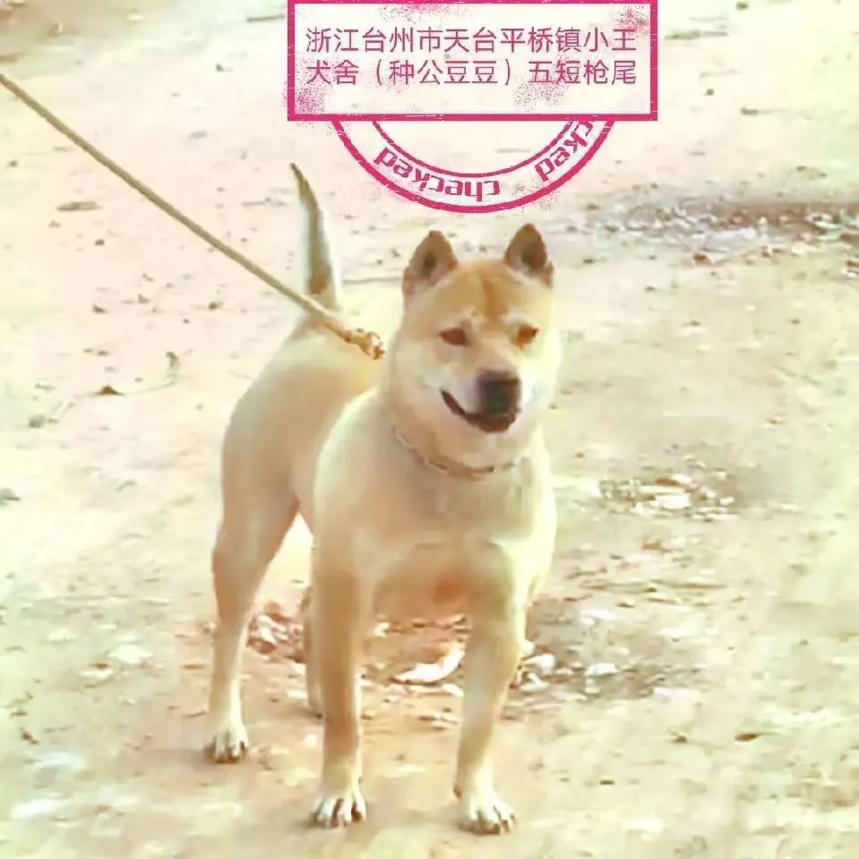 [握手]2024年感恩有你[爱心] 2025年我们继续前行☀️ 感谢你...