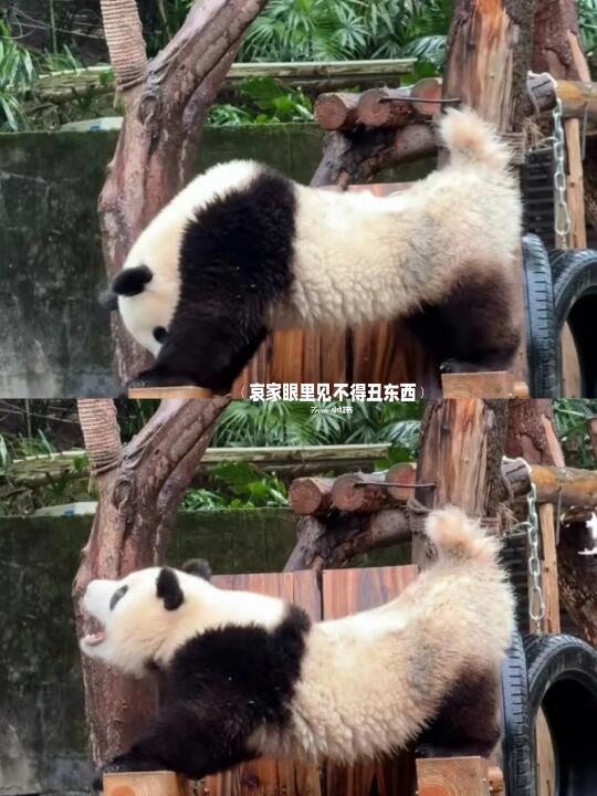 听说那虫洞哇哥的腰肢是数一数二的软