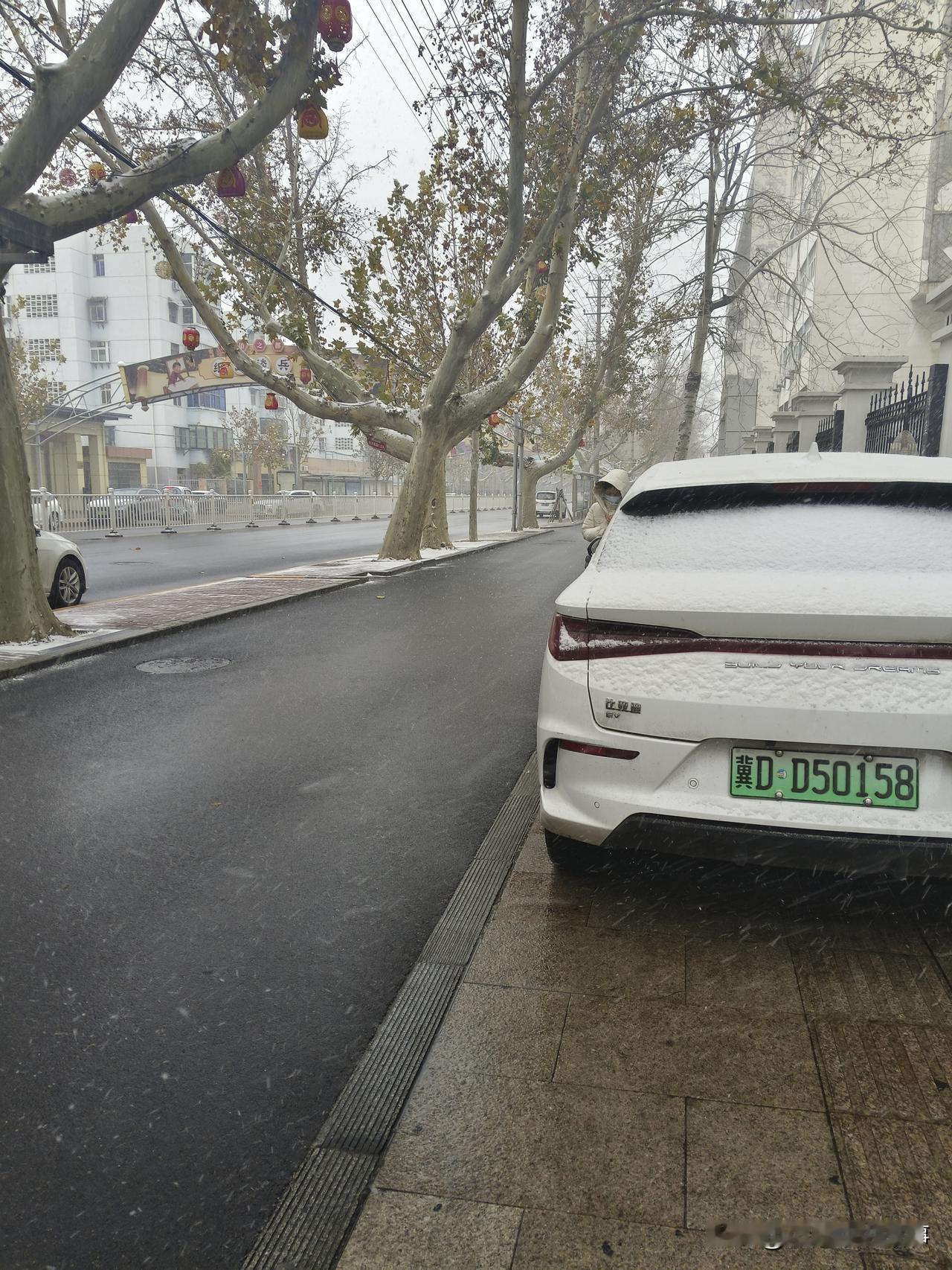 今年的第一场雪
今年的第一场雪，悄然降临。
清晨拉开窗帘，天色阴沉，细碎雪沫悠悠