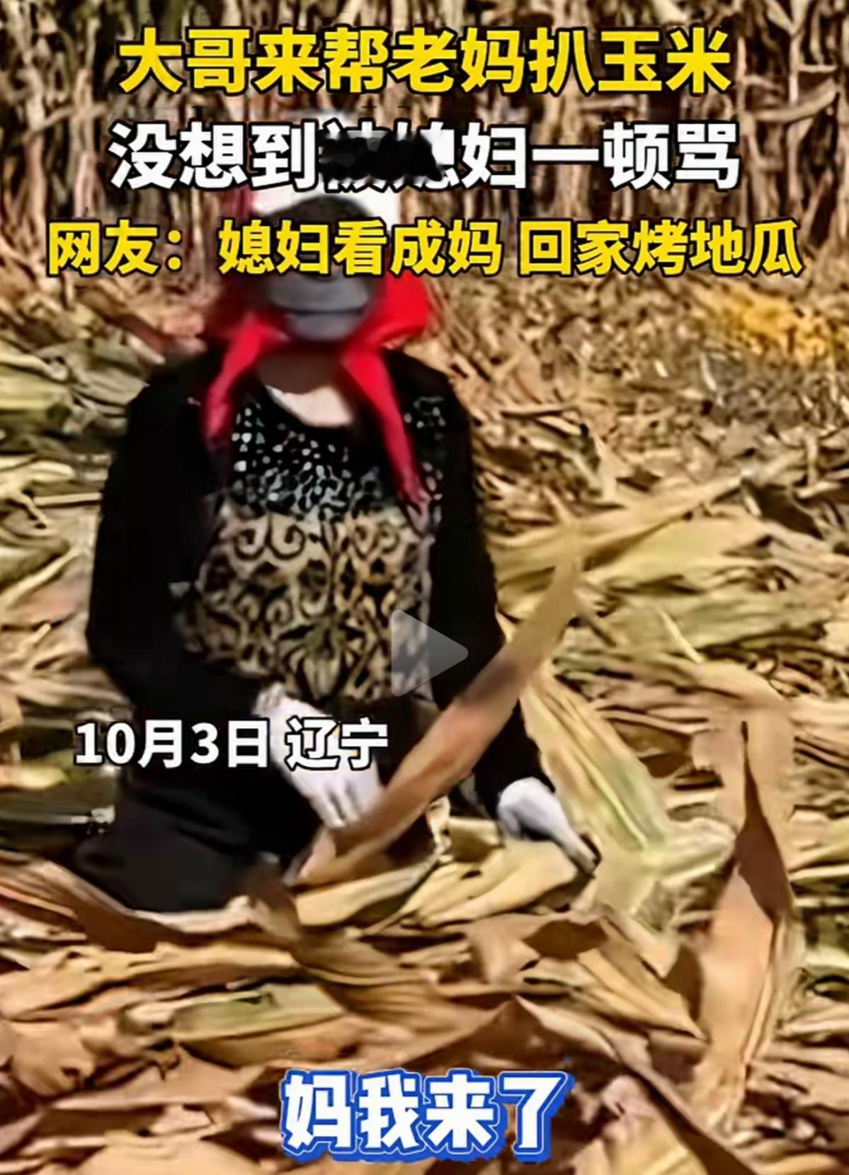 大哥下地干活错把媳妇当成妈，欢声笑语中透着家庭的温度！

秋风一起，地里的苞米叶