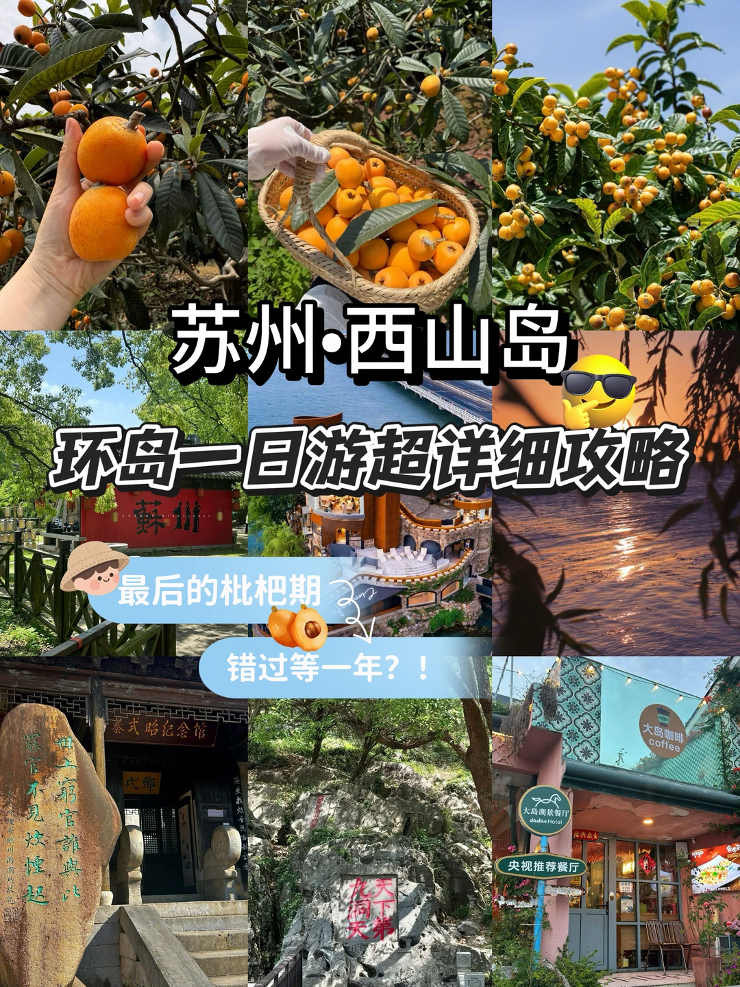 来西山岛只干2⃣️件事！摘枇杷和看橘子海日落