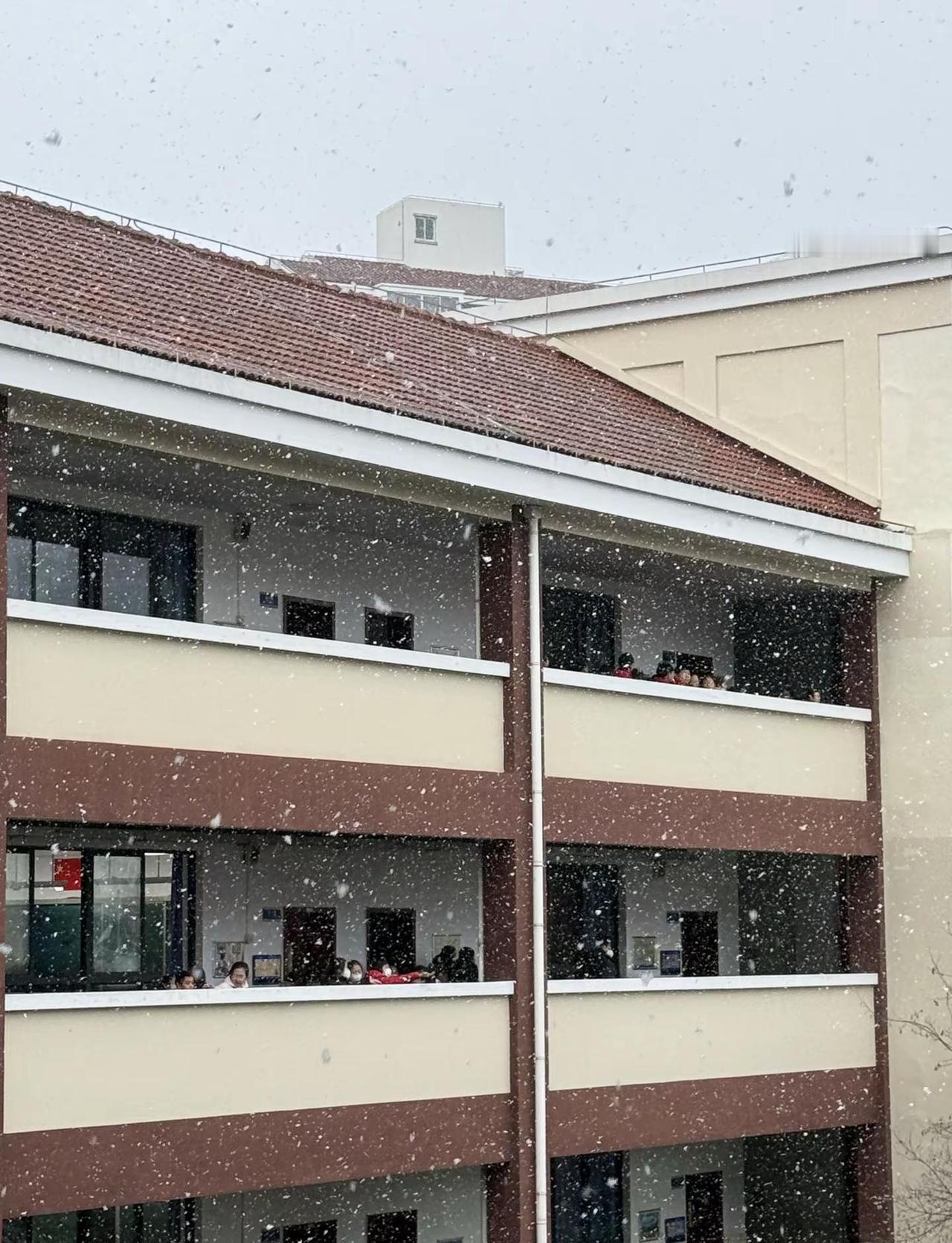 “已经十几年没下雪的上海突然飘雪” 了 上海下雪