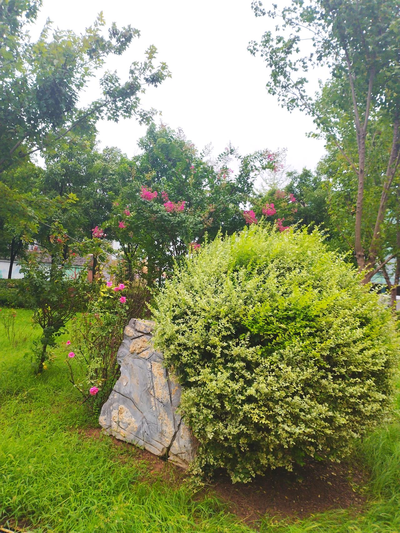 今天早晨去公园锻炼身体，看到千字文文化公园的美景，拿起手机随手拍了张照片，与大家