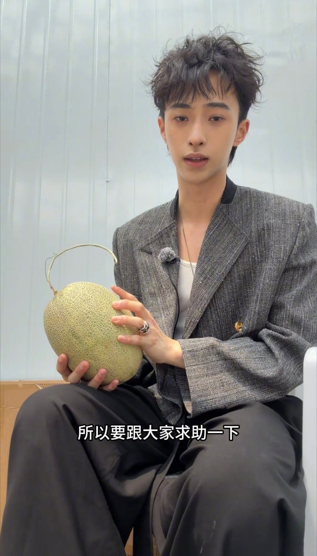 恩利在桃花坞紧急求助 传下去：恩利在重庆养了一个哈密瓜！不仅要保存，还要征集给它