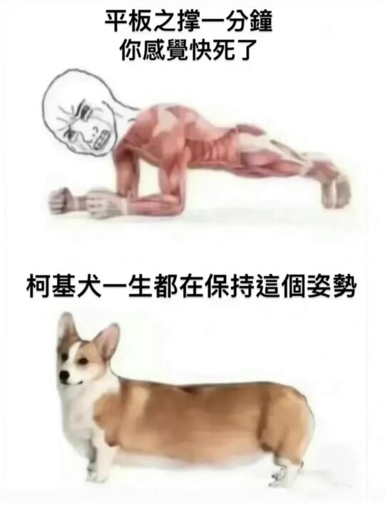 当你坚持不下去时 看看这张图