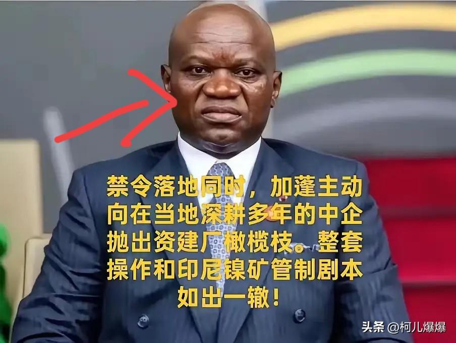 套路？

加蓬勒脖，我们还得笑着接橄榄枝？

照搬印尼镍矿套路！加蓬叫停锰矿原矿