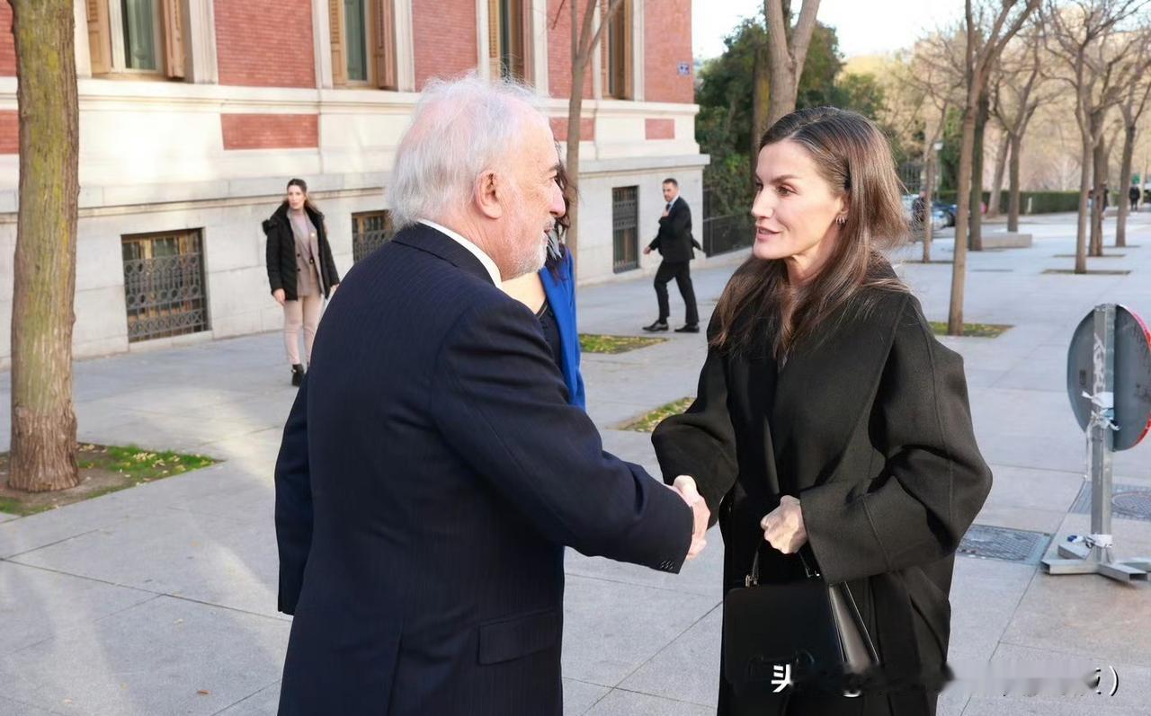 年底了各种会议真的挺多的，连王后也不例外！莱蒂齐亚王后作为基金会名誉主席出席基金