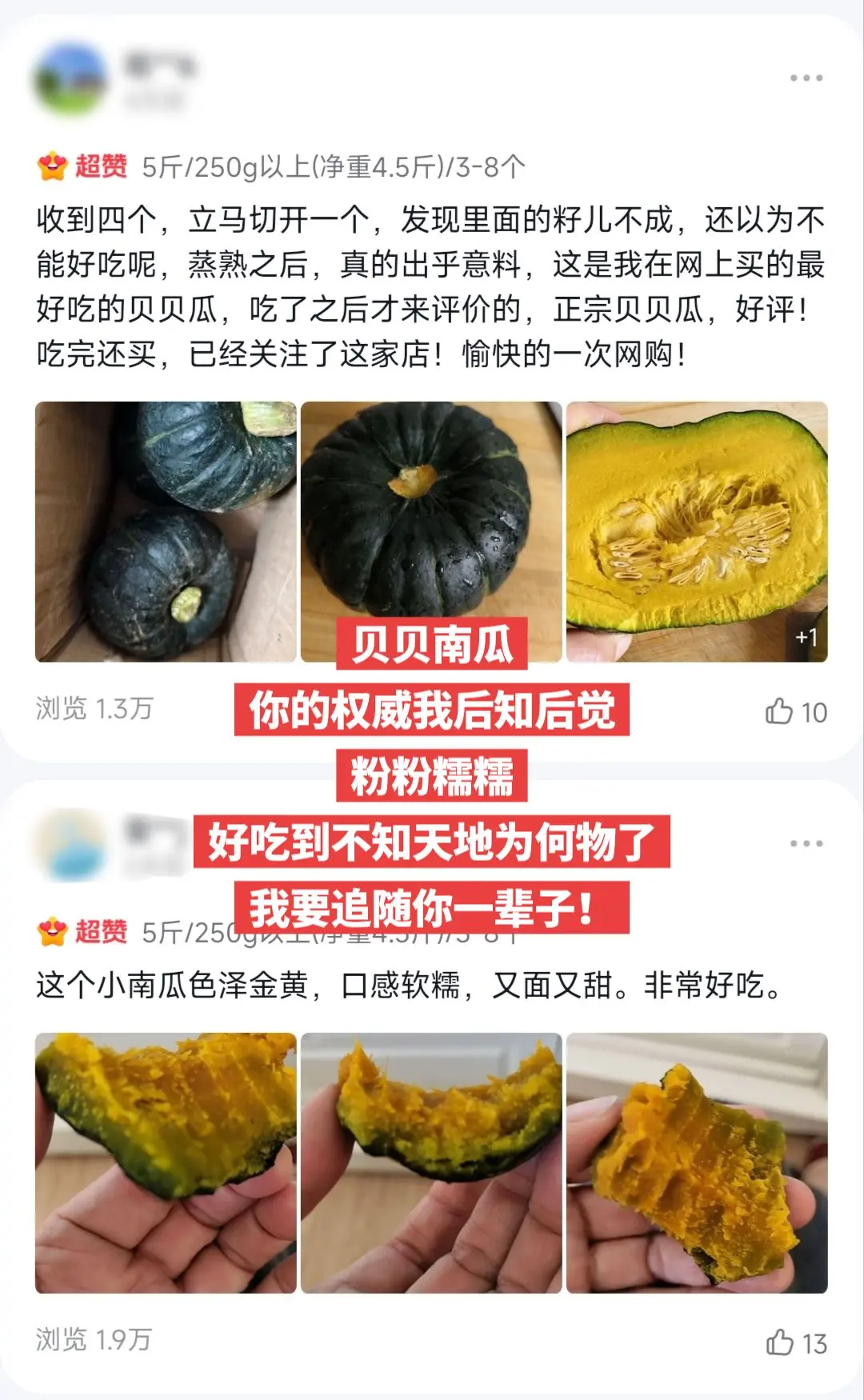 贝贝南瓜，你的权威我后知后觉。