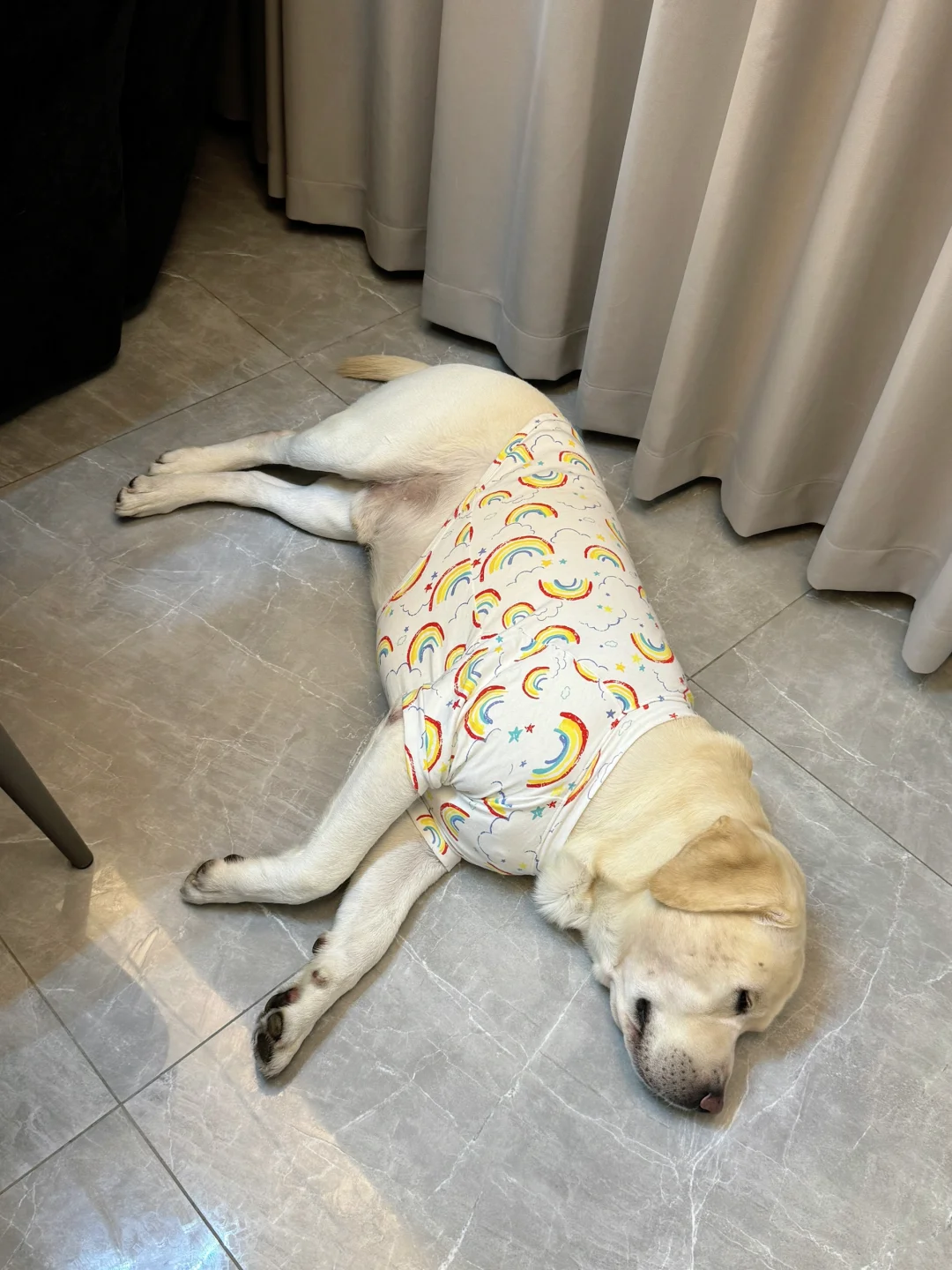 它好像个小宝宝
