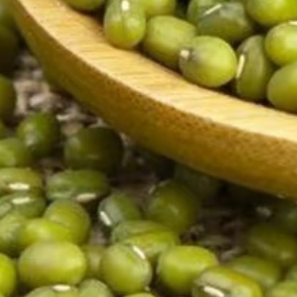 绿豆的种植方法一、选择种子：很多朋友应该都想知道种绿豆的步骤是什么，首先要做的就