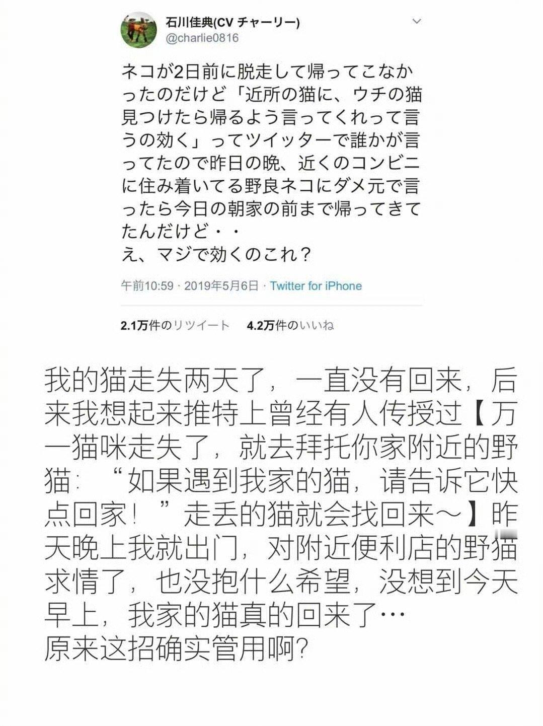 还有这种操作？？所以野猫互相之间都认识，还会劝离家出走的？？[允悲] 