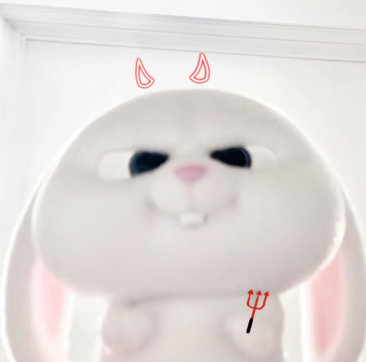 ⭑. 兔老大！ 
