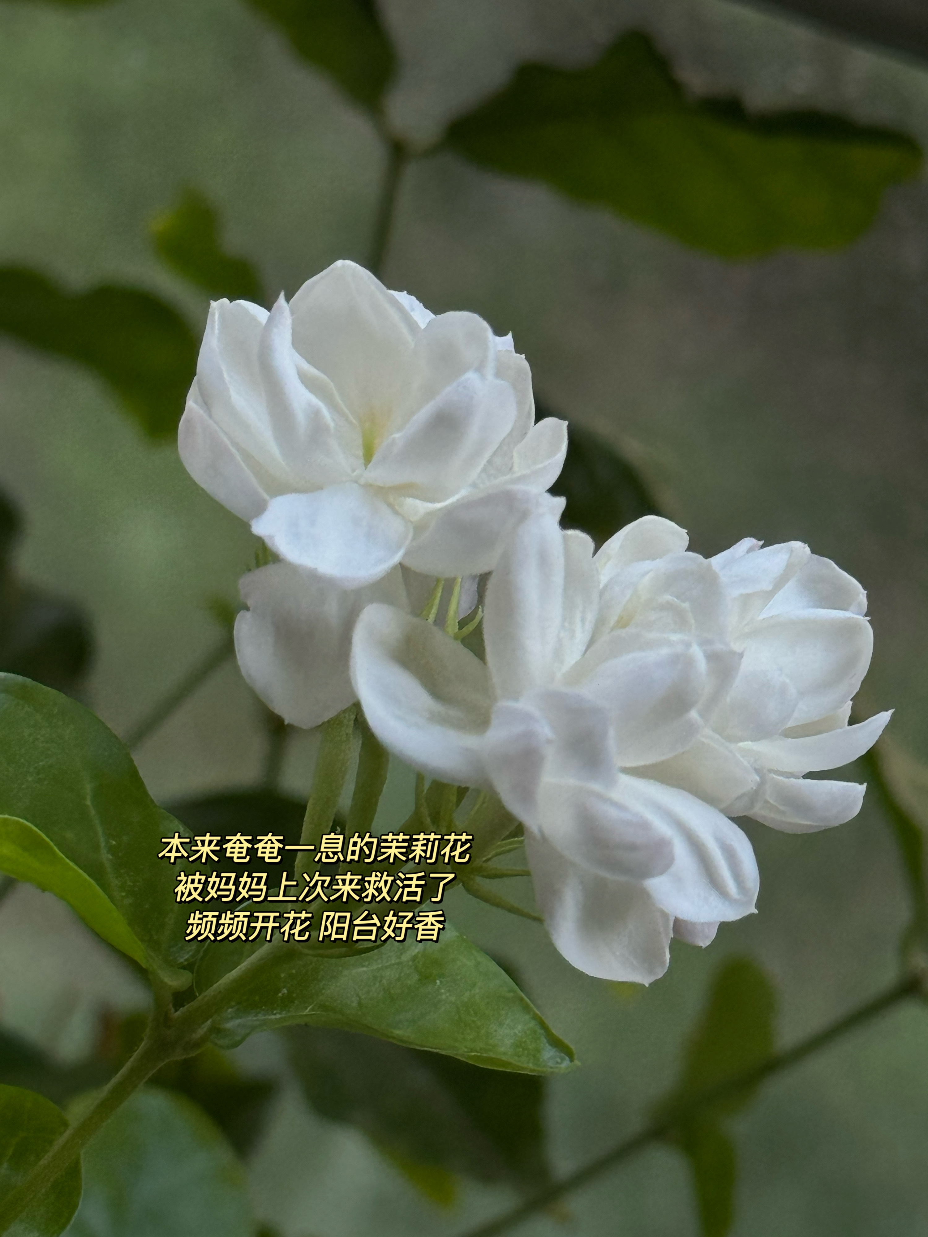 一周plog｜tough week小朋友突发急性肠胃炎一家人第一次半夜急诊。也算