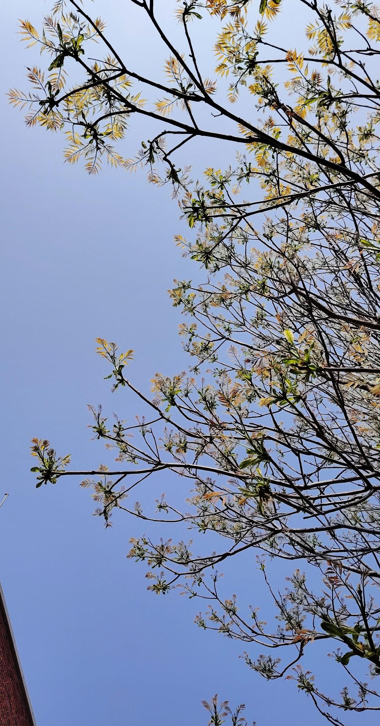 AI扩图 治愈系绿色植物 创作者中心 创作灵感 黛德安邀您骑行