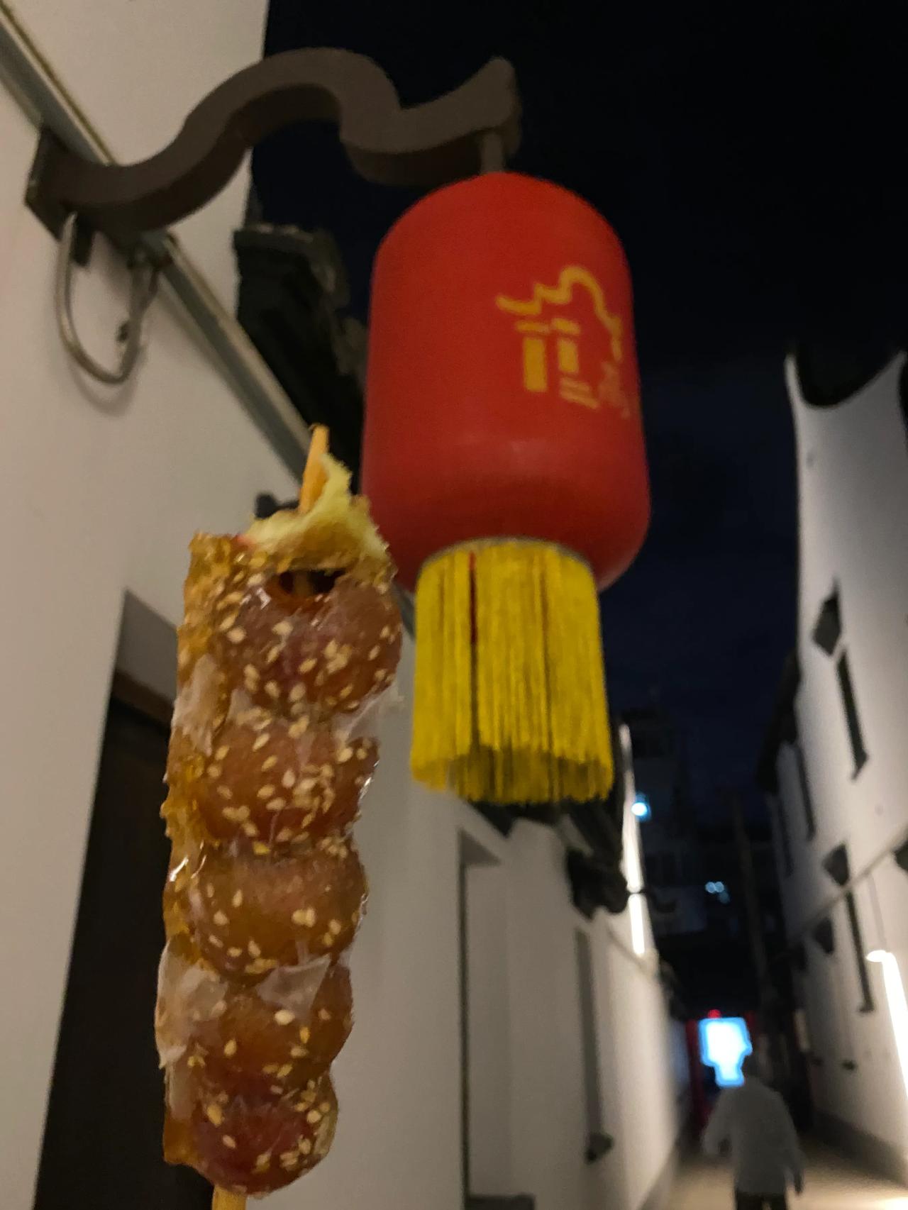 自由职业者的快乐谁懂啊啊啊！

晚上吃过晚饭后，带孩子们去逛古镇，古镇旁边新开了