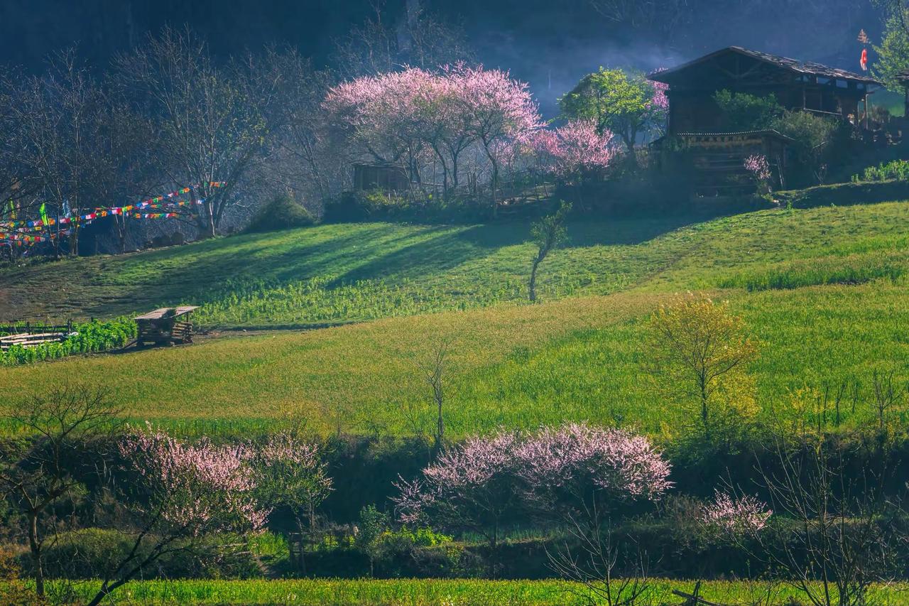 丙中诺雾里村。丙中诺雾里村