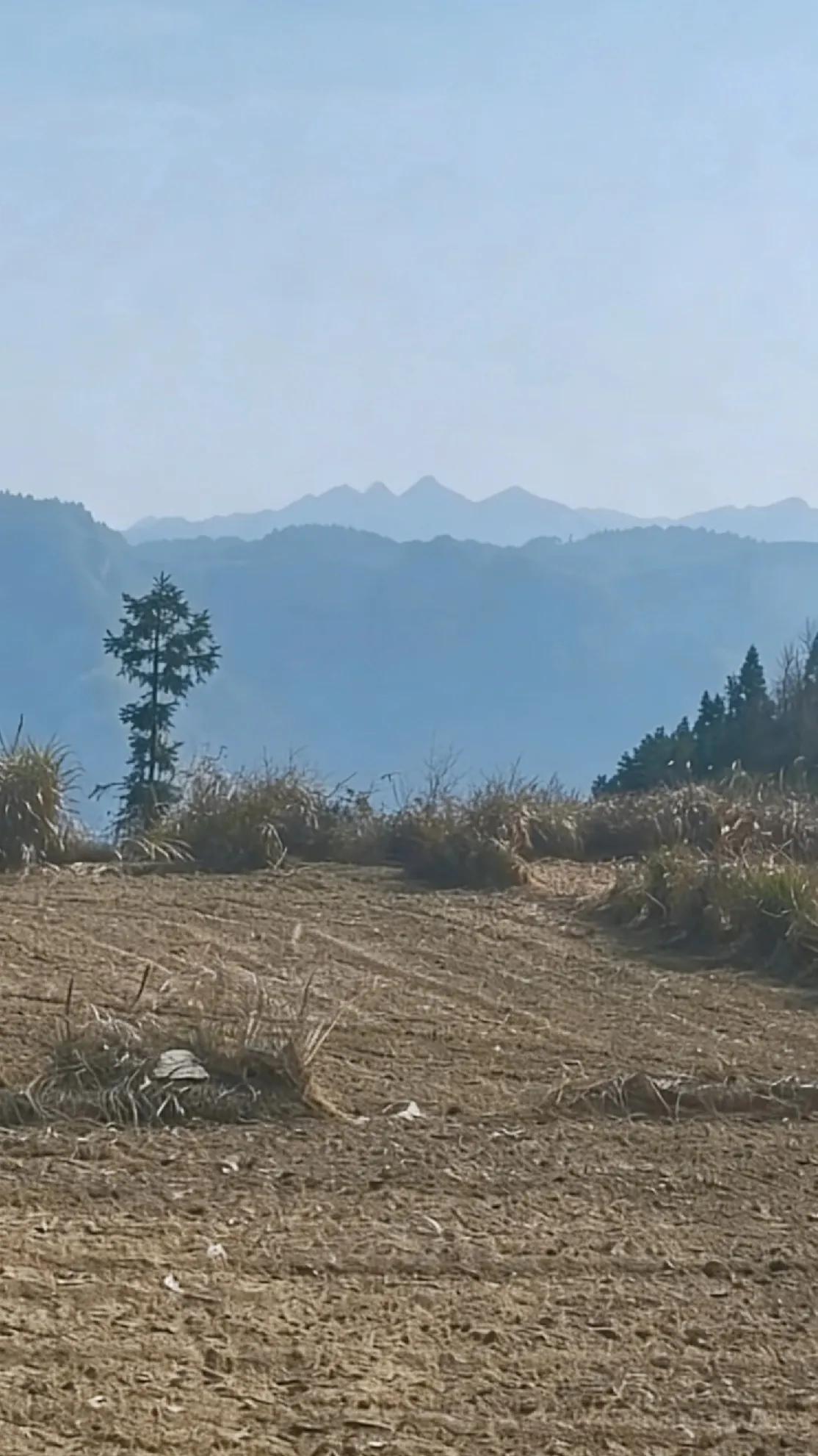 有一种地，天造龙穴时仿佛设置了“障眼法”，贪向必然失位。