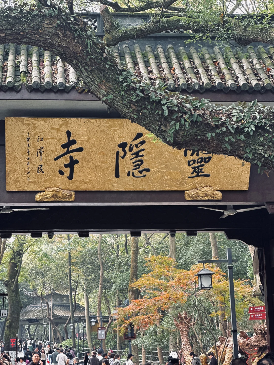 然后我就带着小布去了杭州
