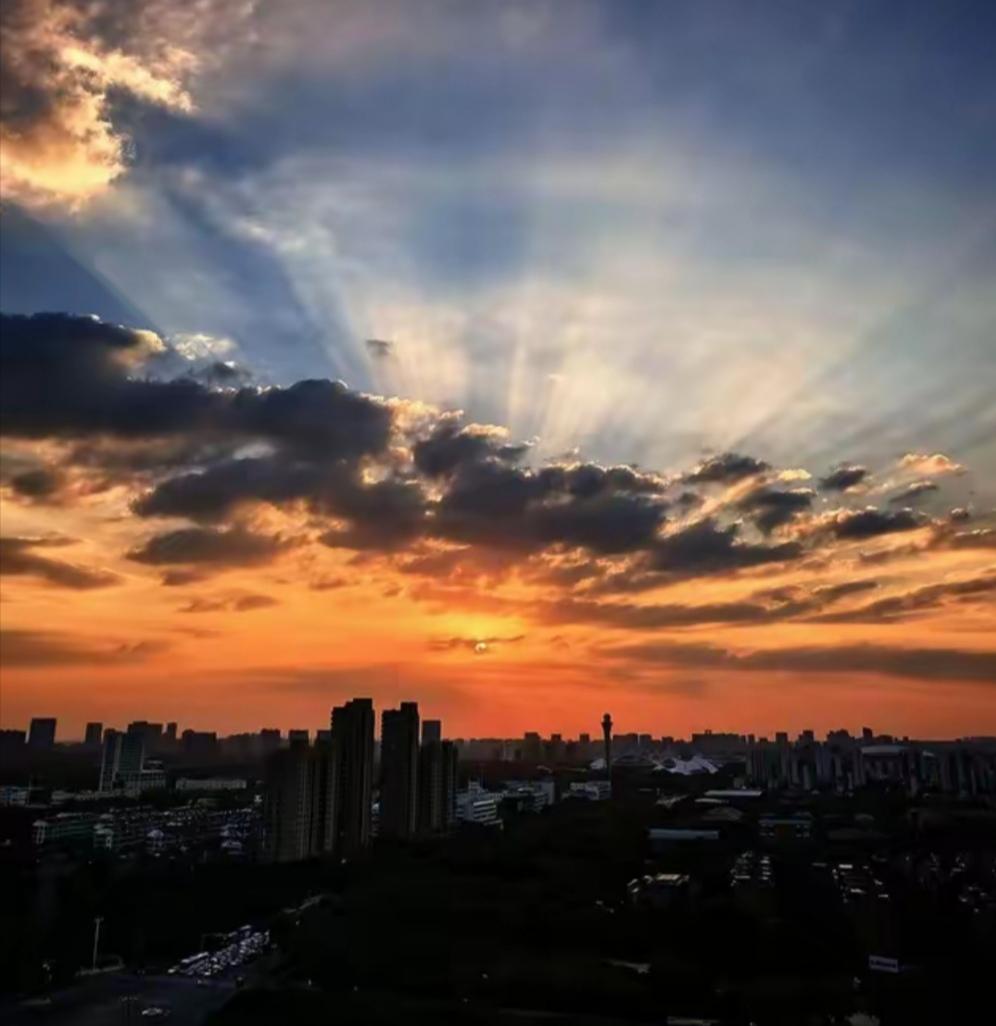 分享一张你最近随拍的照片