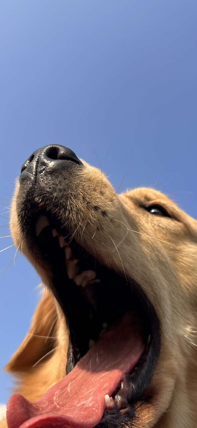 3D景深壁纸 | 效果惊艳。 