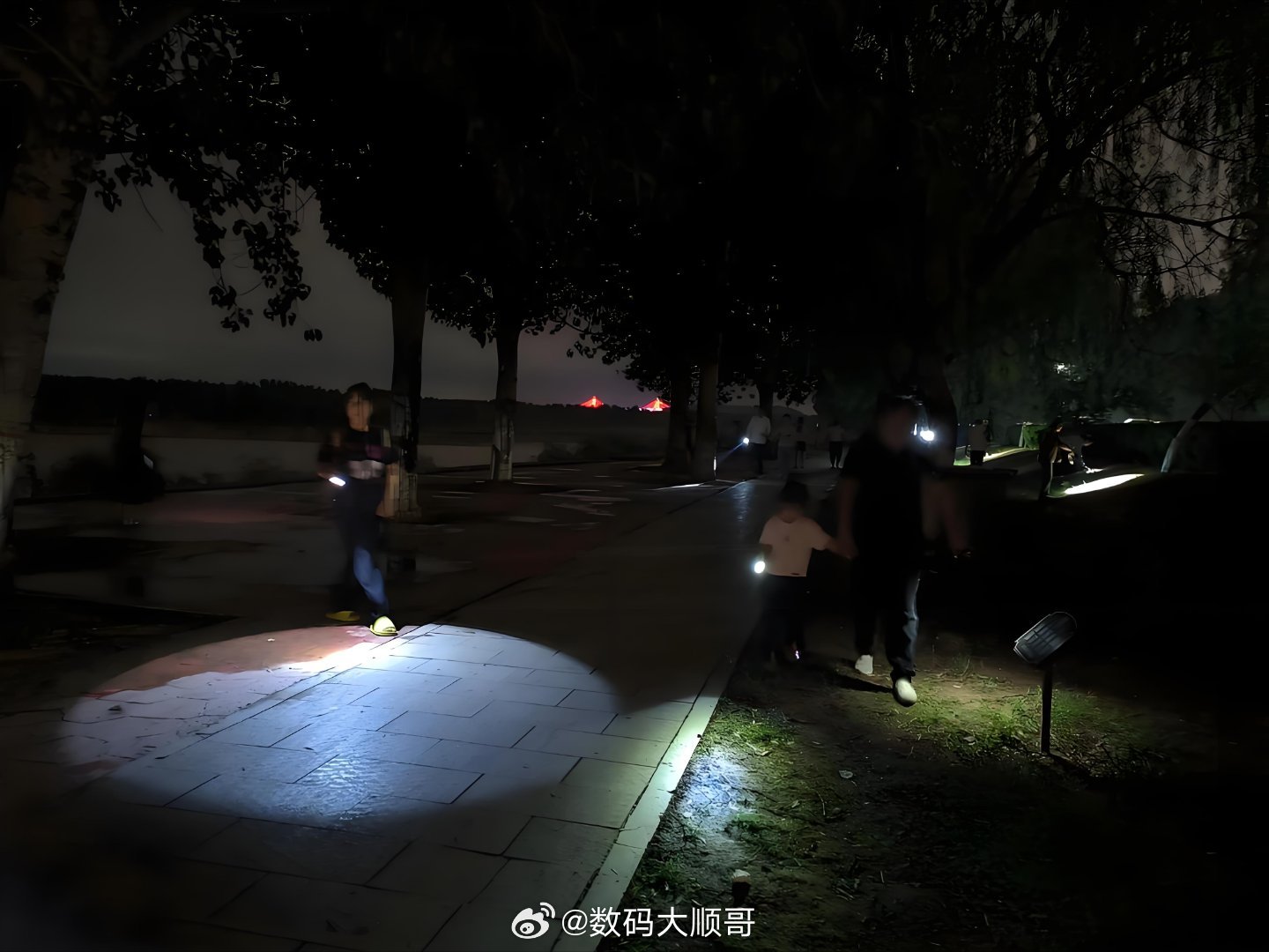 大爷摸知了猴3小时赚近400元这个大爷也太牛了，我们这里树林里人比知了猴多我记得