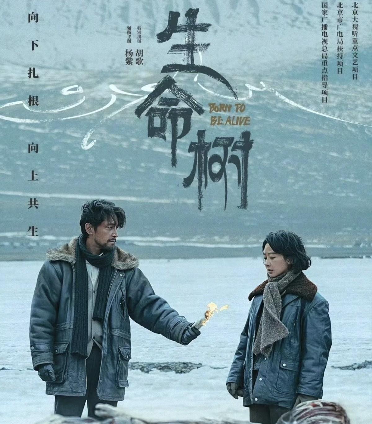 别再信什么“信念感”了。
胡歌杨紫在海拔4800米喘的每一口气，流的每一滴汗，才