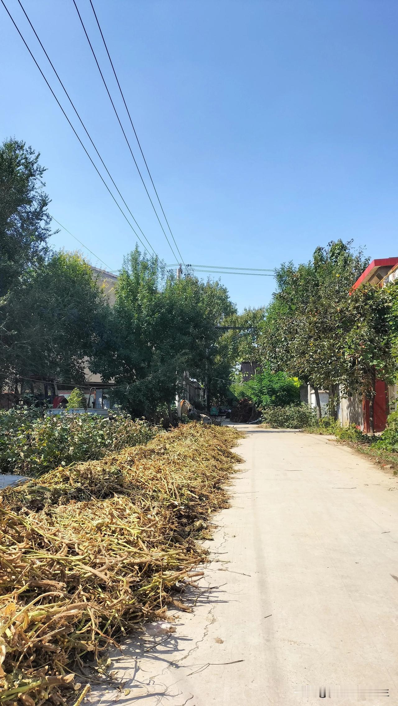 #分享一张你随手拍的街景#

刚刚，在老家门口拍了一张图片（许昌鄢陵城南）。
