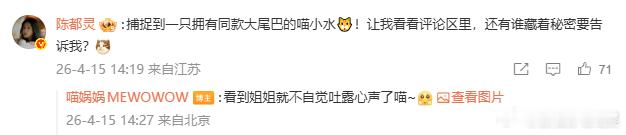 陈都灵一款新型树洞 小猫说，面对拥有神奇法术的雾妄言姐姐就不自觉吐露了秘密。那么