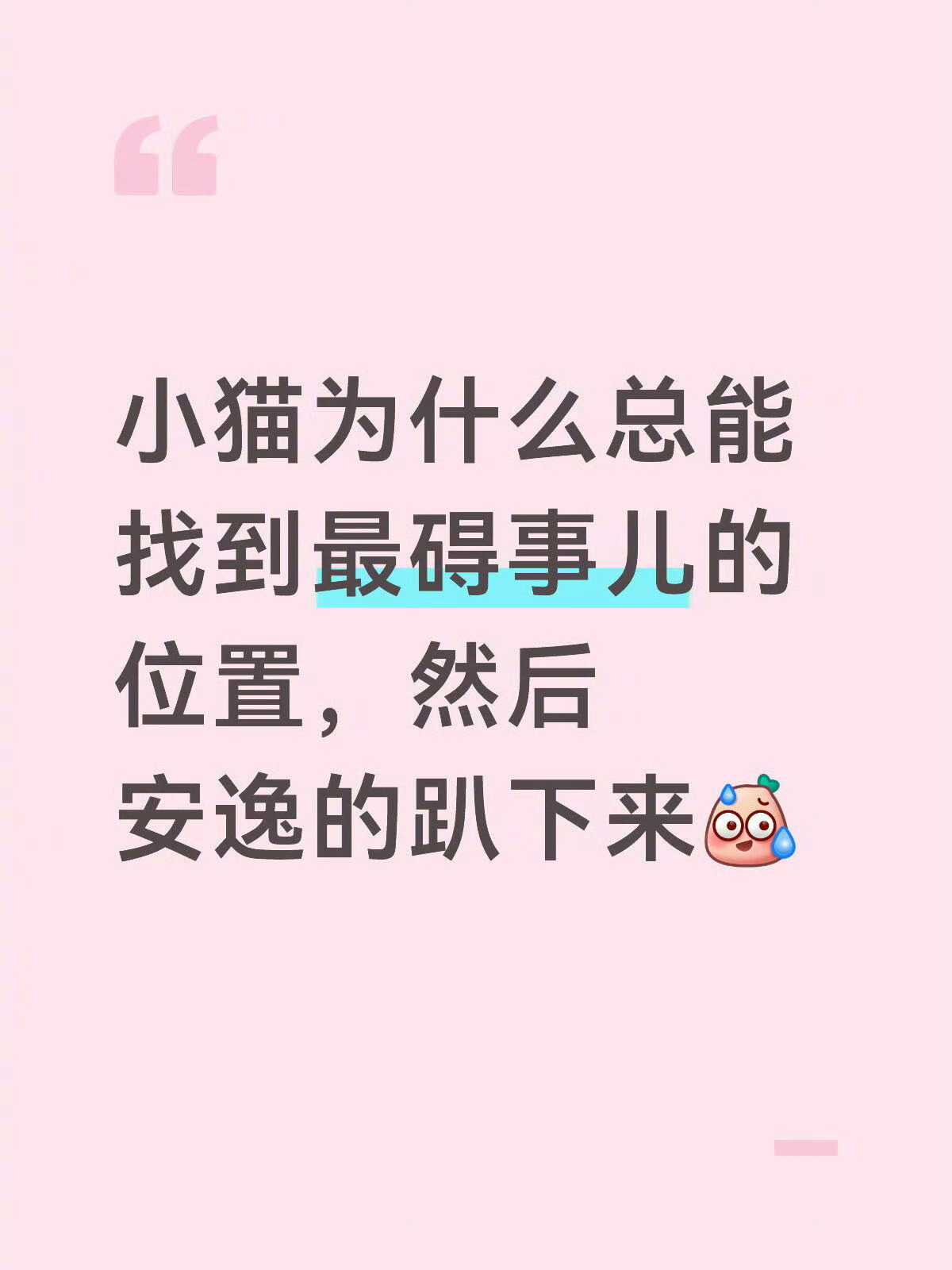 银行 午休小猫为什么总能找到最碍事儿的位置 