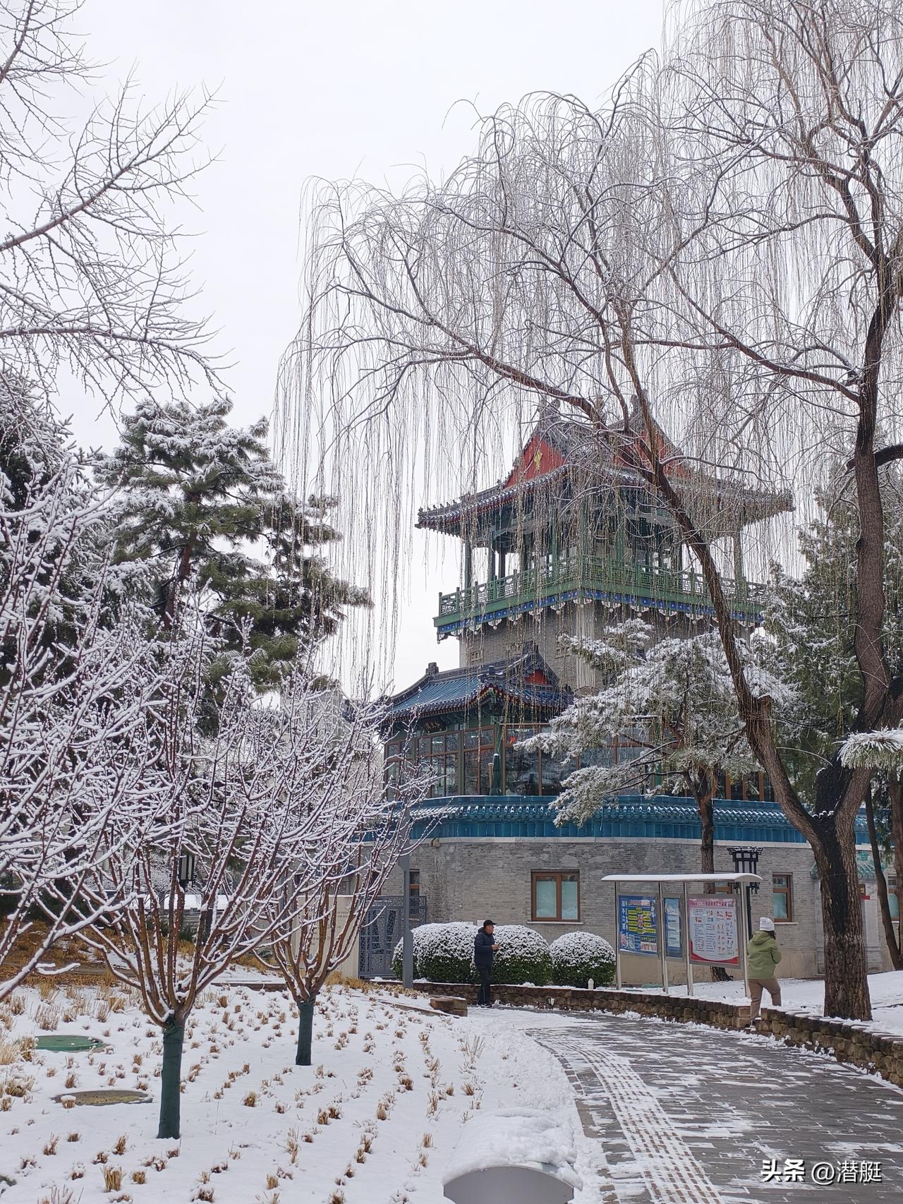 如何才能坚持早起去公园锻炼?昌平中心公园拍雪景！