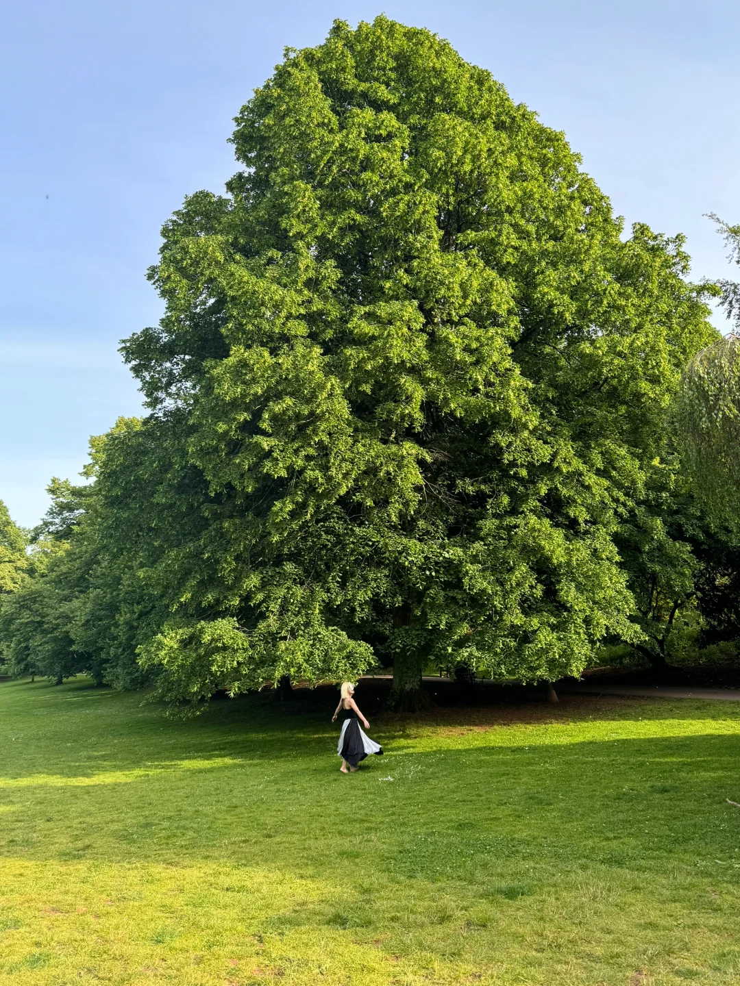 Live图真的比照片更有生命力诶！！！