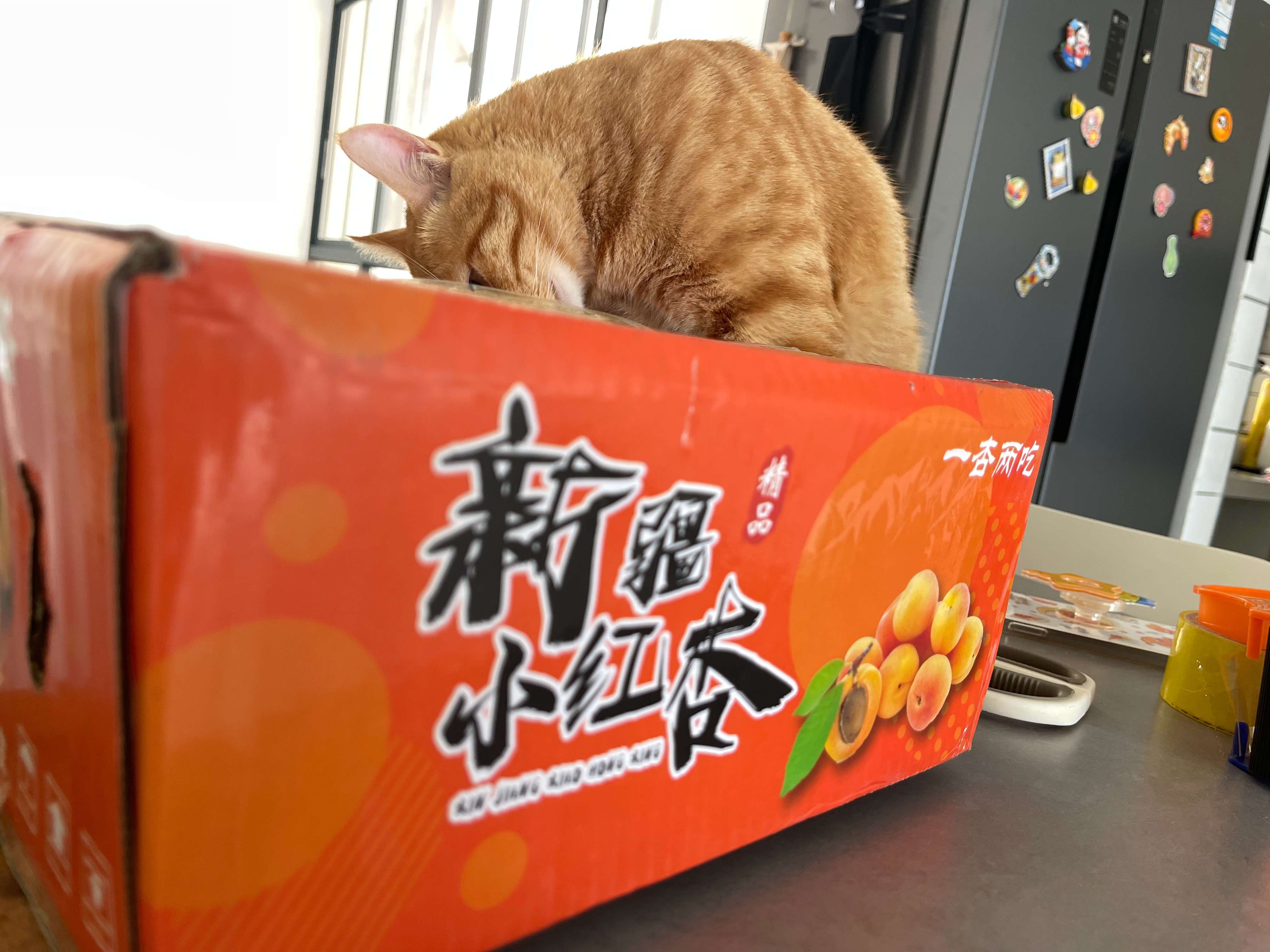 今日份昨天跑多了，晚上兴奋得睡不着加上今天有点忙中午没休息，没劲了（是借口）出门