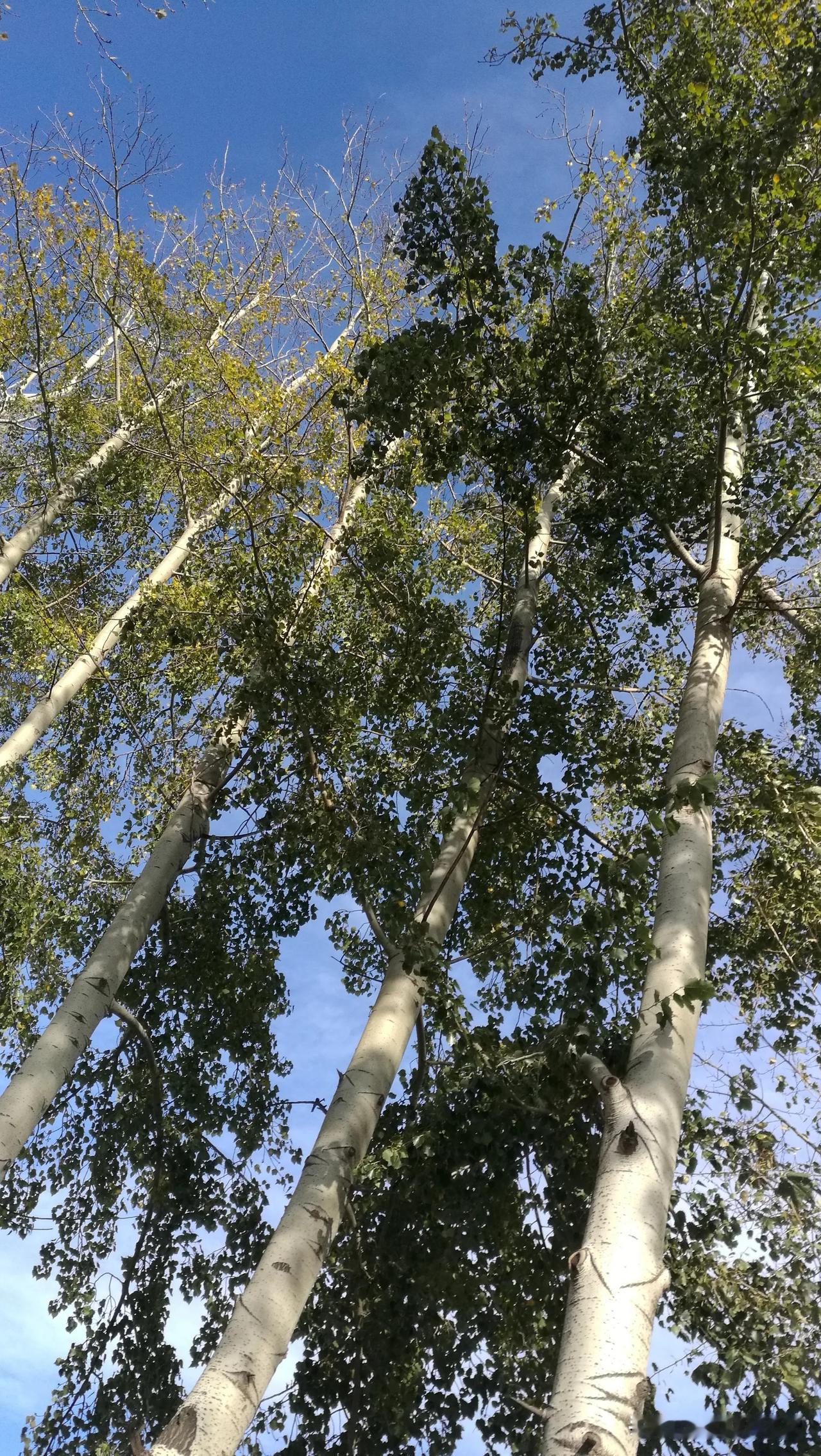 晒图笔记大赛