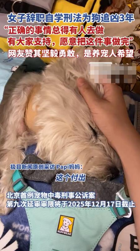李女士辞职为犬追凶三年，终于等到了结果！
事情发生在2022年的9月份，李女士的
