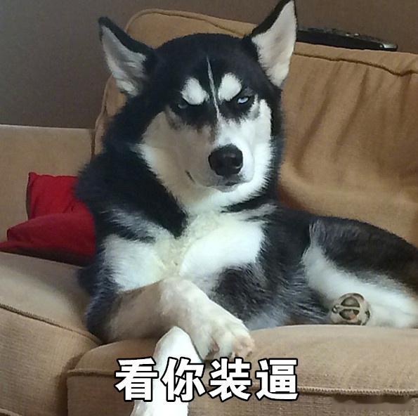 出了vb查无此人的是…… ​​​